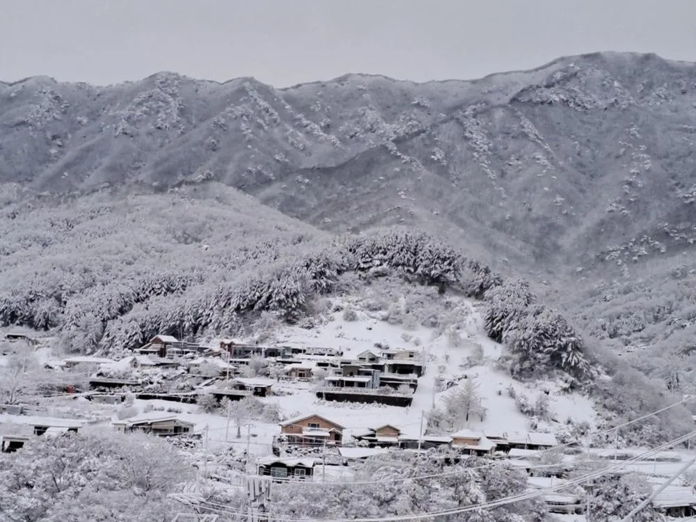 Yangpyeong Forest Live Pension