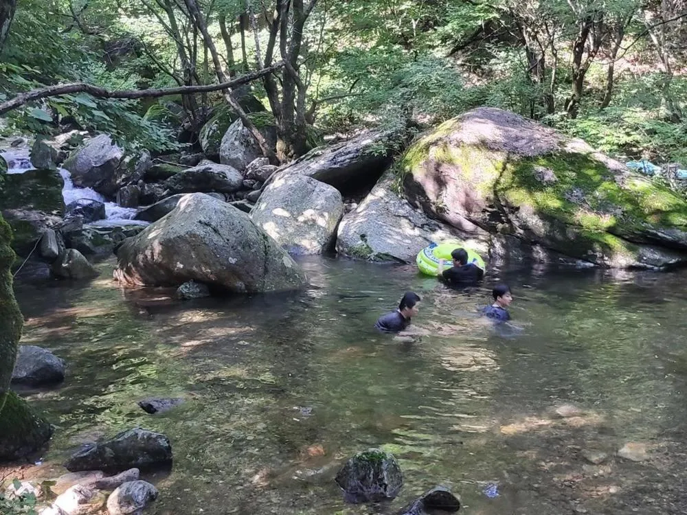 Yangpyeong Forest Live Pension