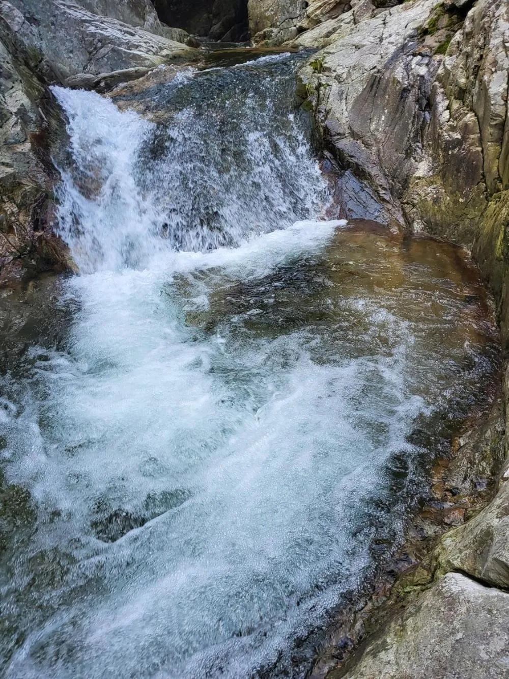 Yangpyeong Forest Live Pension