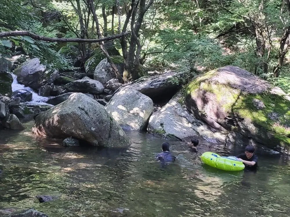 Yangpyeong Forest Live Pension