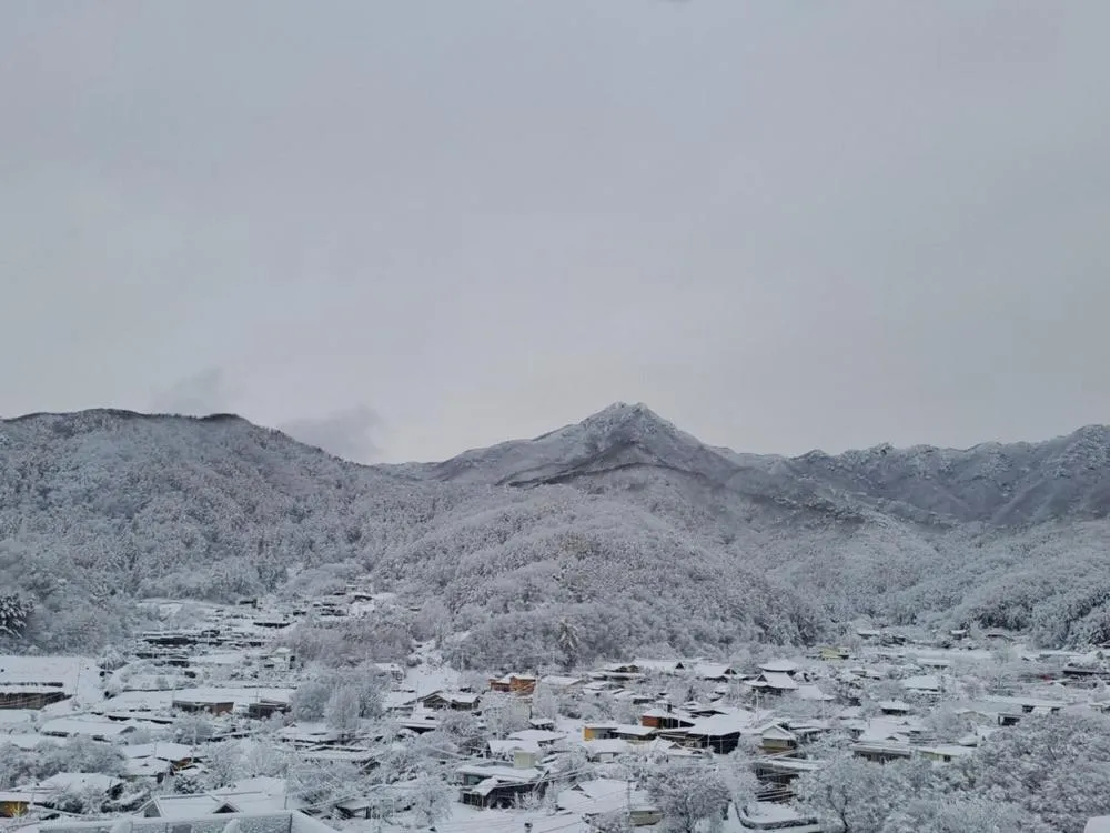 Yangpyeong Forest Live Pension