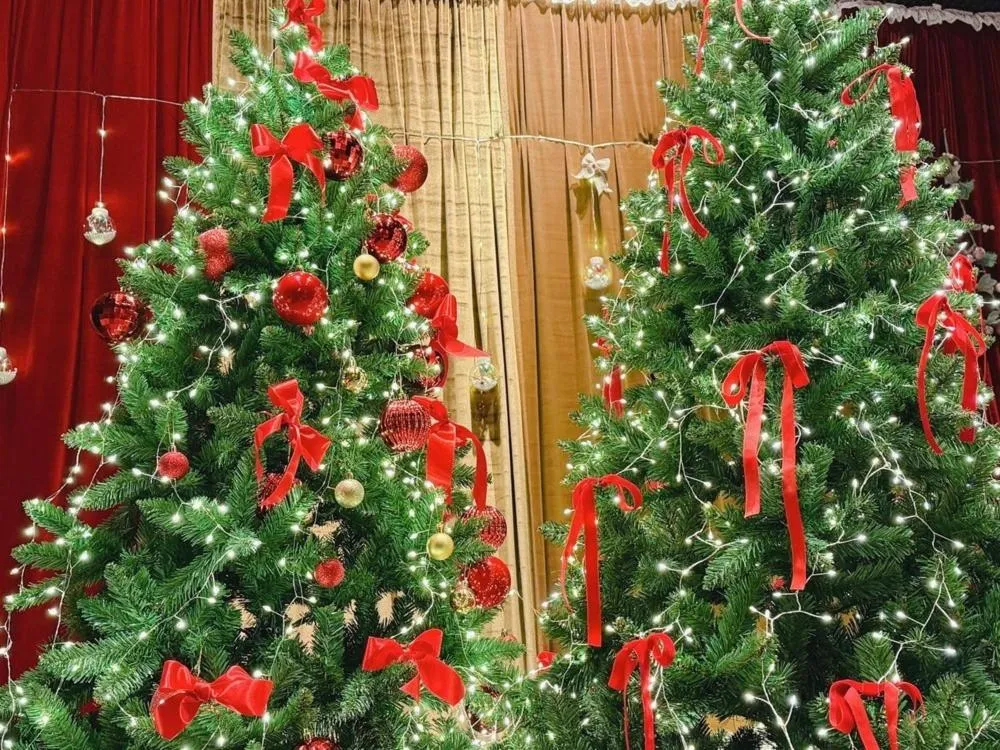 Yangpyeong Forest Live Pension