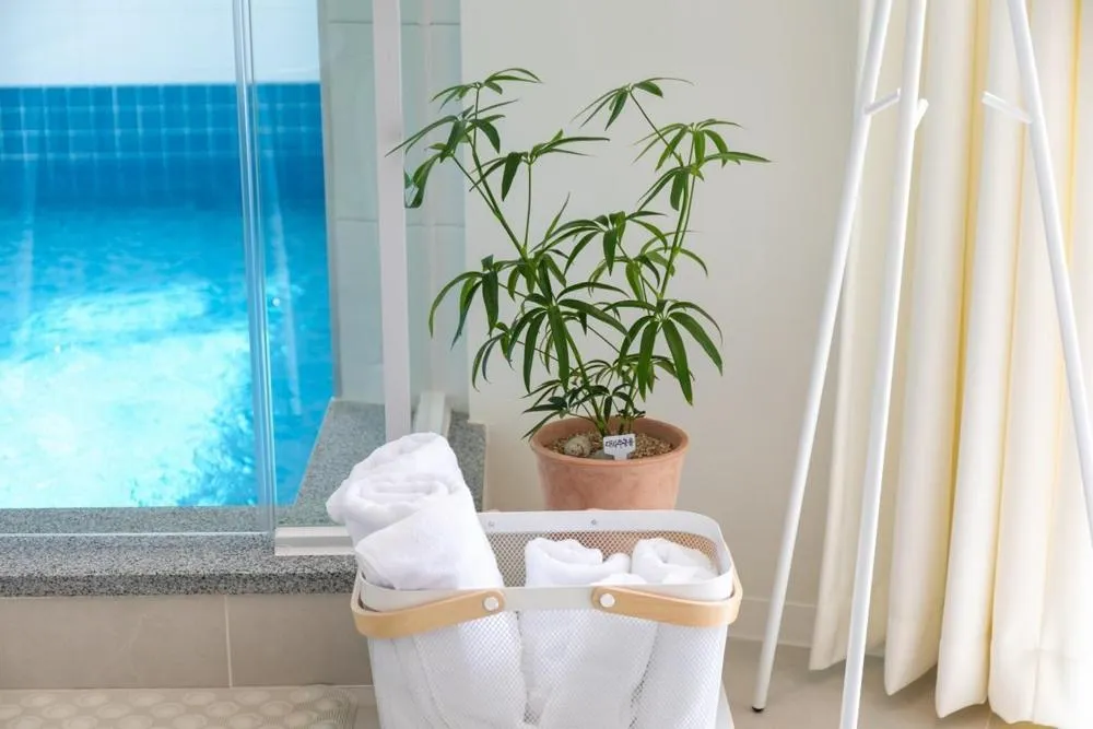 Gangneung Ranteuruhe Pension