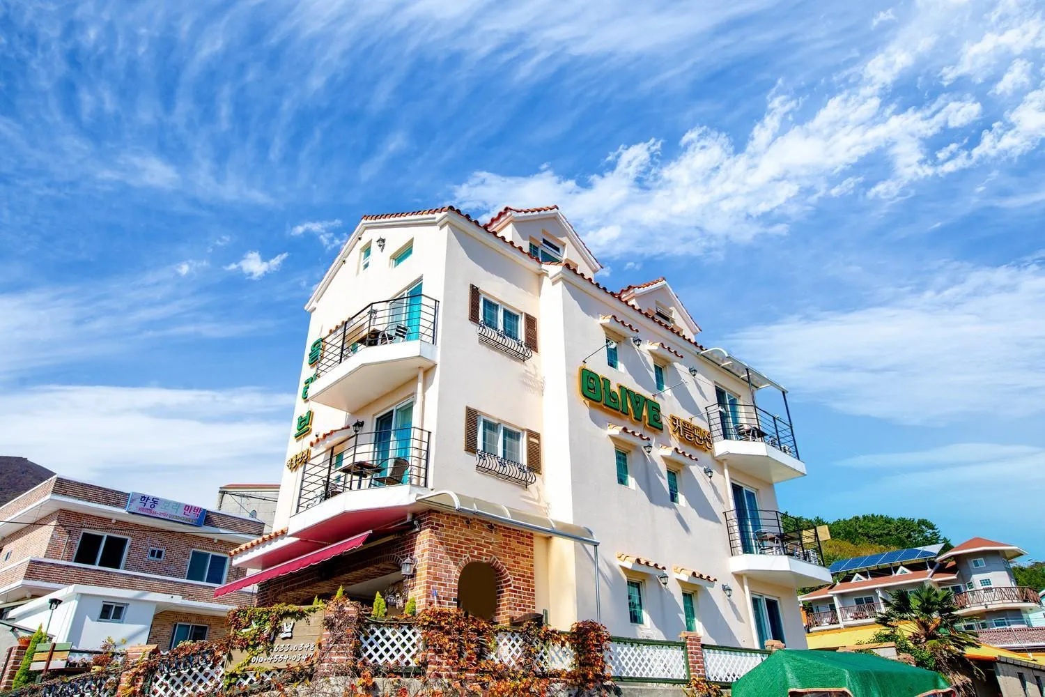 Geoje olive couple pension