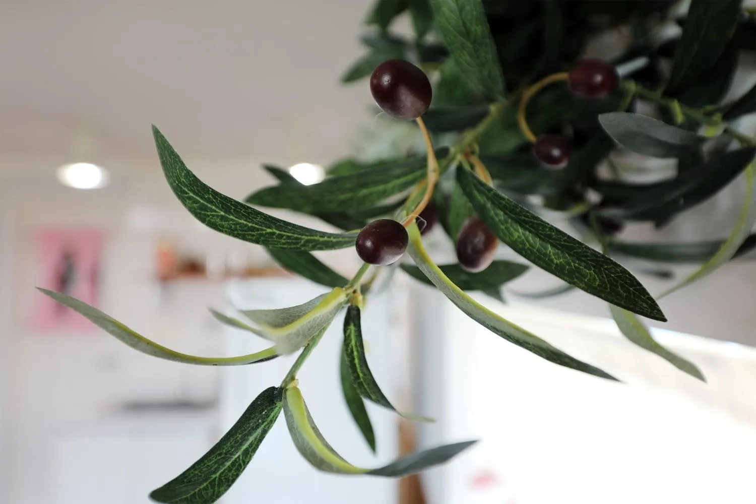 Geoje olive couple pension