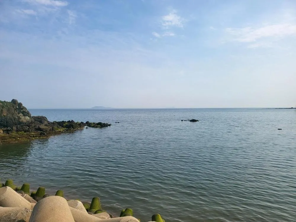 Taean Gana Pension Pet friendly