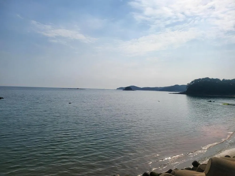 Taean Gana Pension Pet friendly