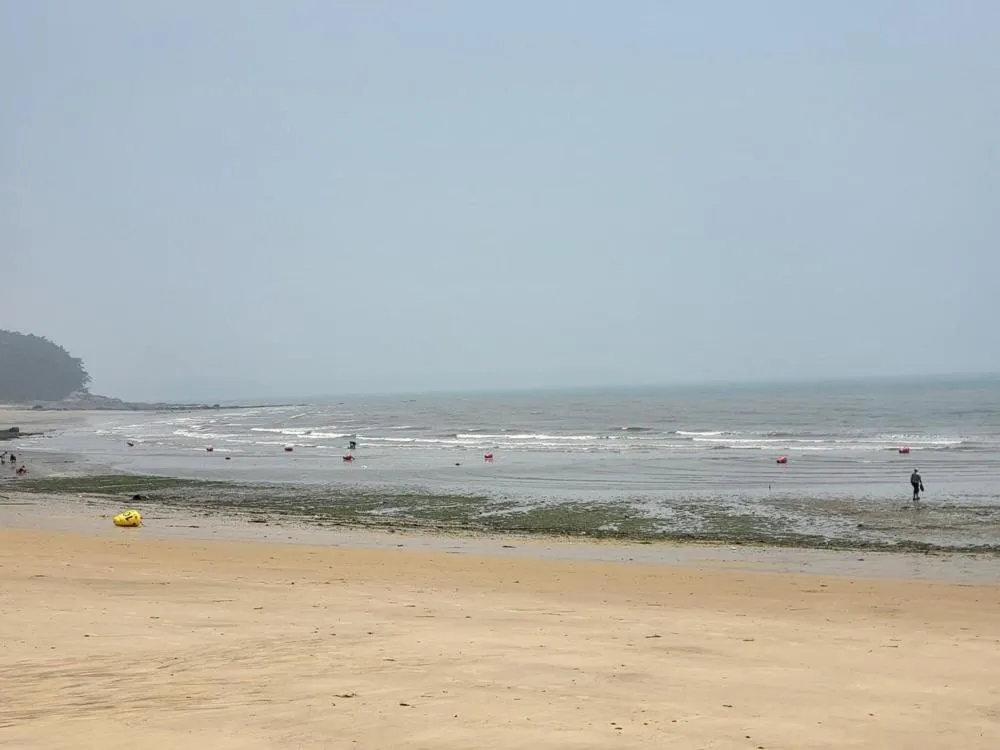 Taean Gana Pension Pet friendly