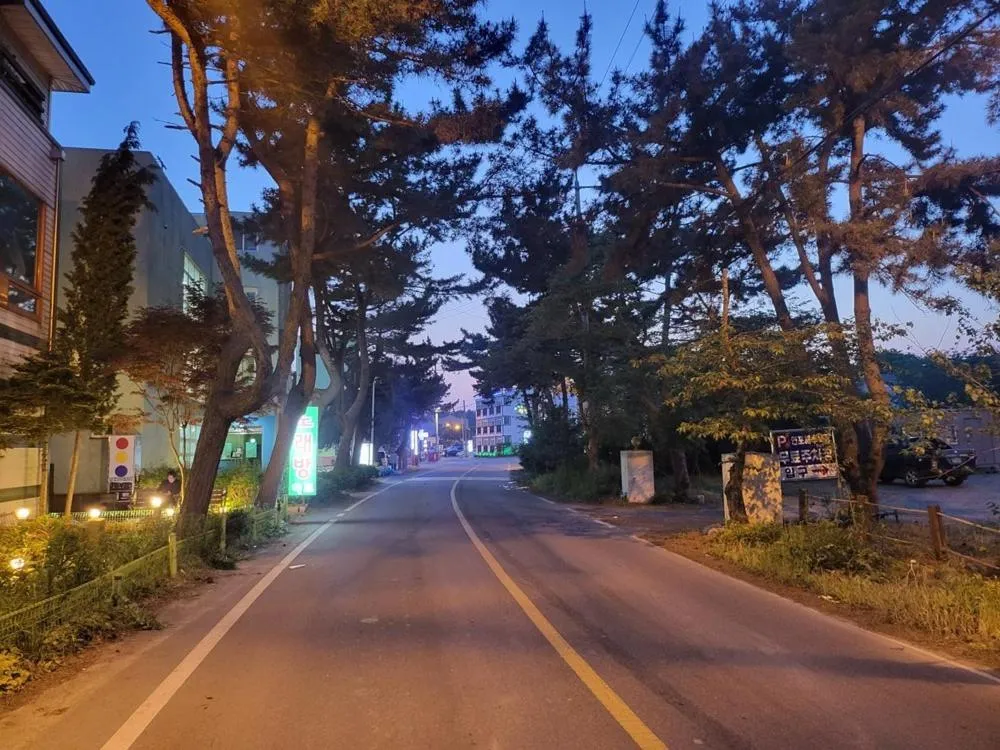 Taean Gana Pension Pet friendly