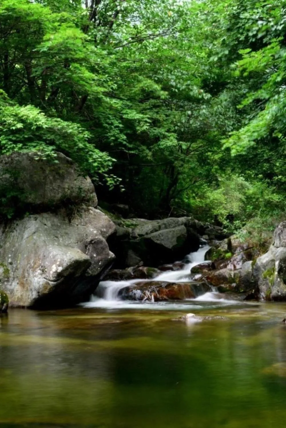 Seonbichon Lake Pension