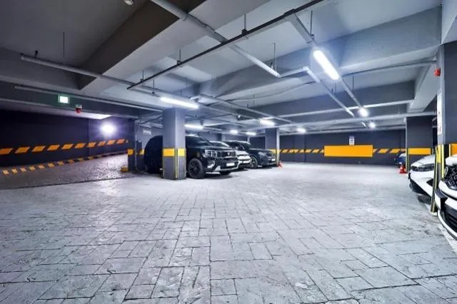 Suwon Brown Dot Suwon Ingyegyo