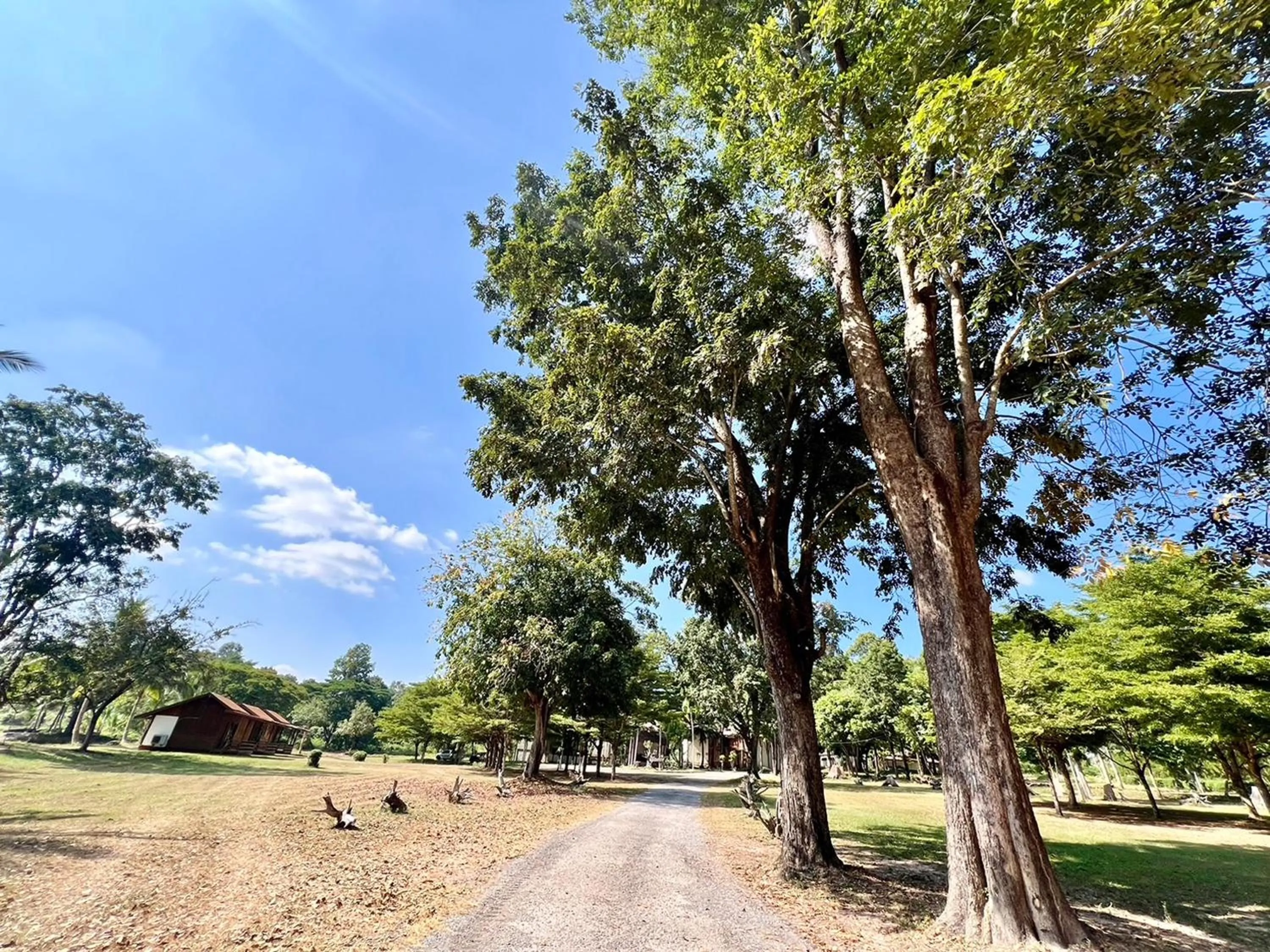 Natural landscape in Fahluang Resort