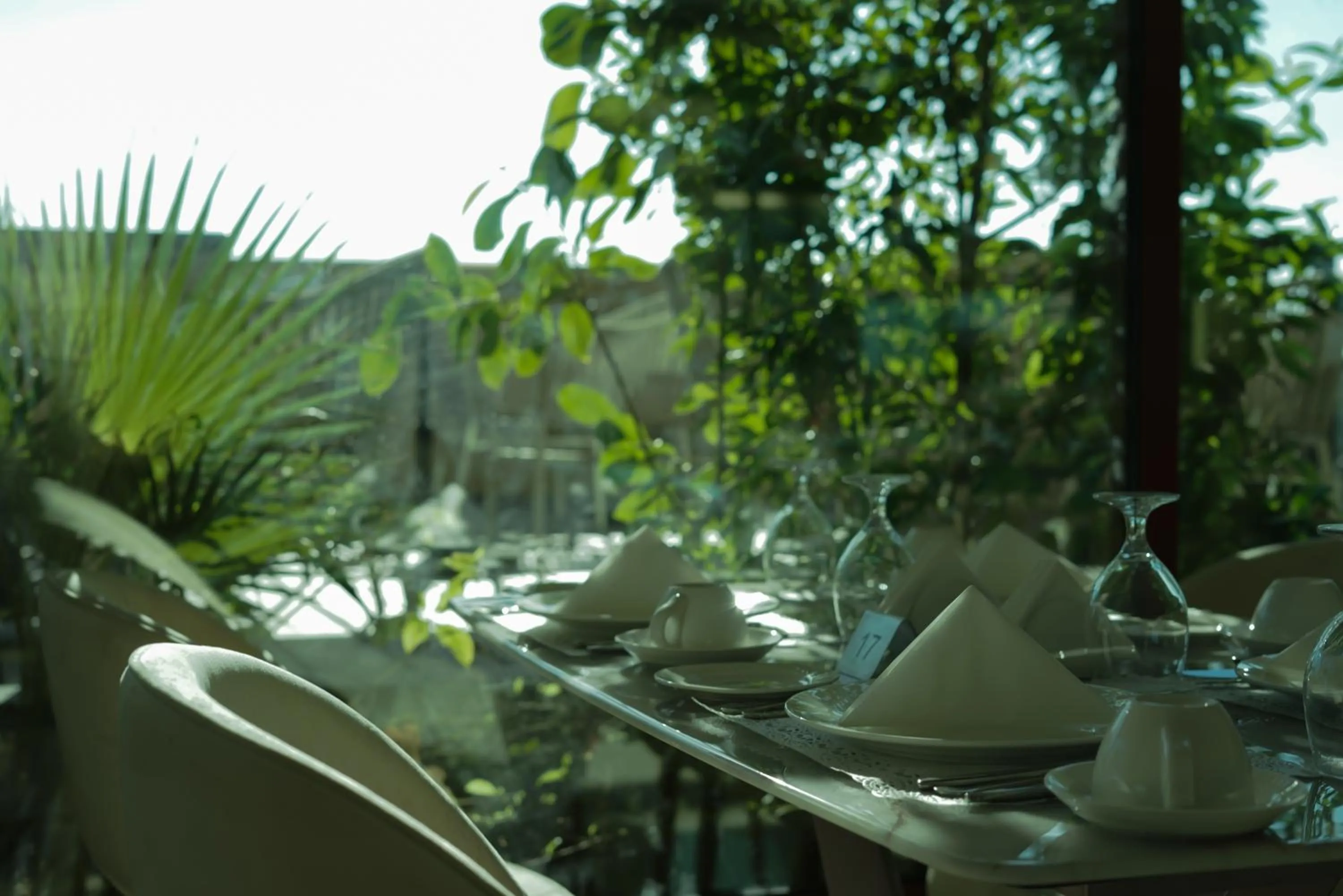 Restaurant/places to eat in La Zona Continental Hotel