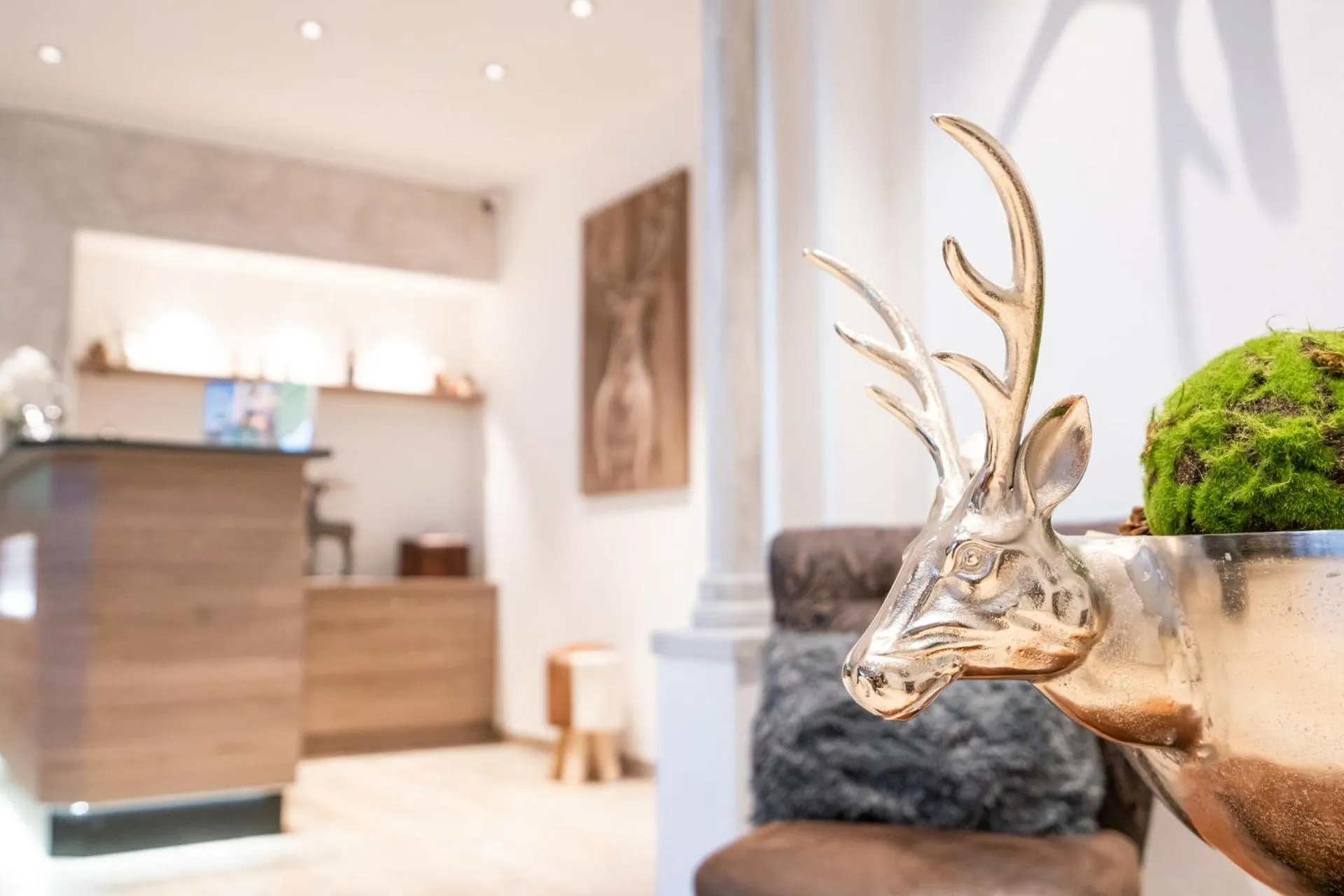 Lobby or reception in Apartments Mooshof