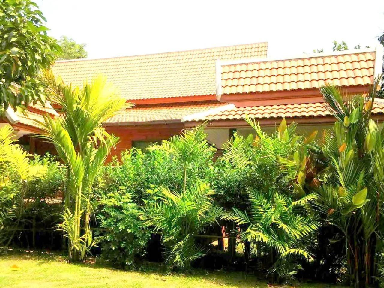 Property building in Siam Tara Resort Chiangkhong