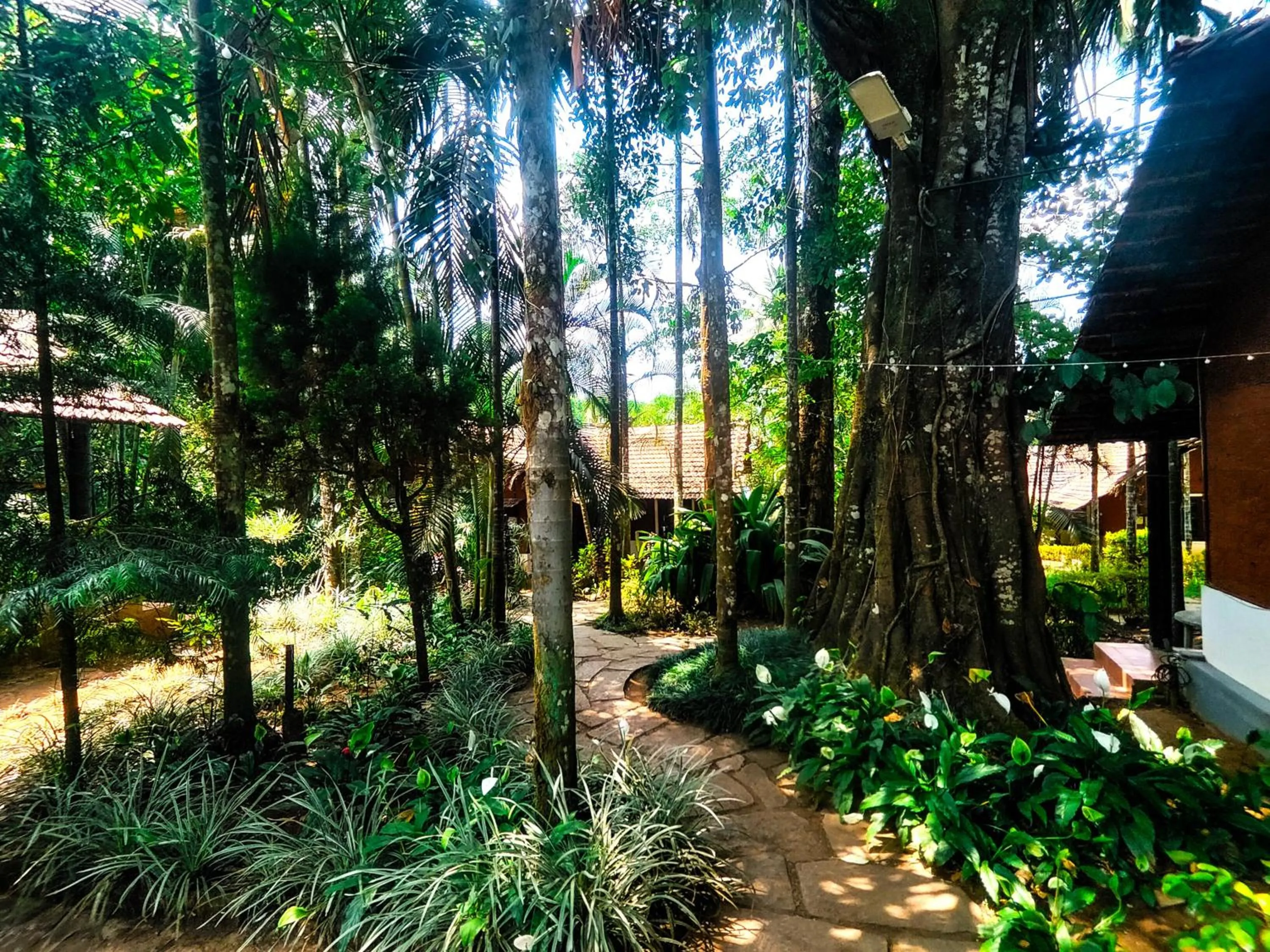 The Twin Cottages Coorg