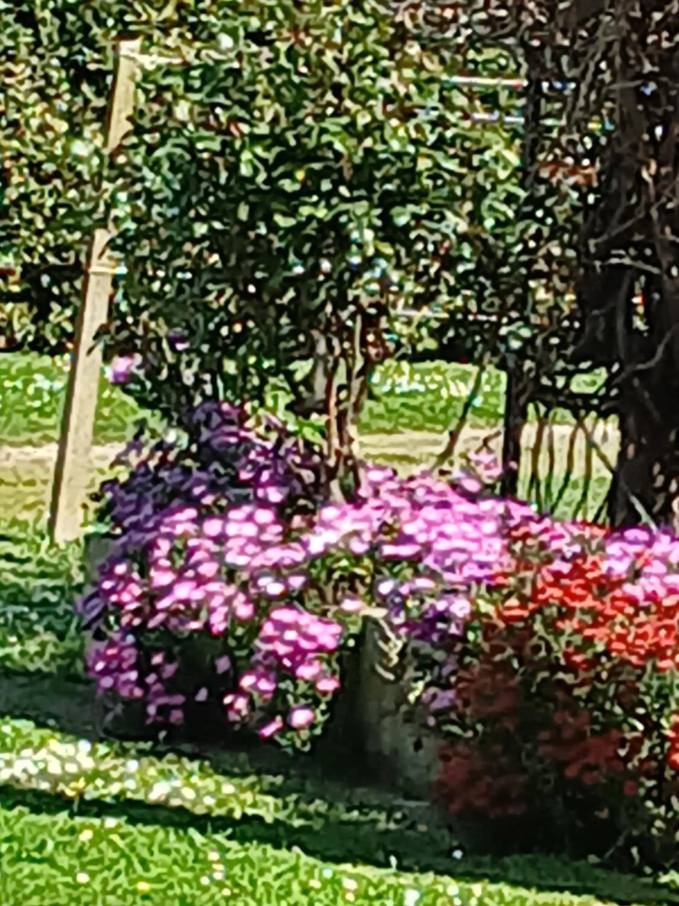 Azienda Il Tizzano