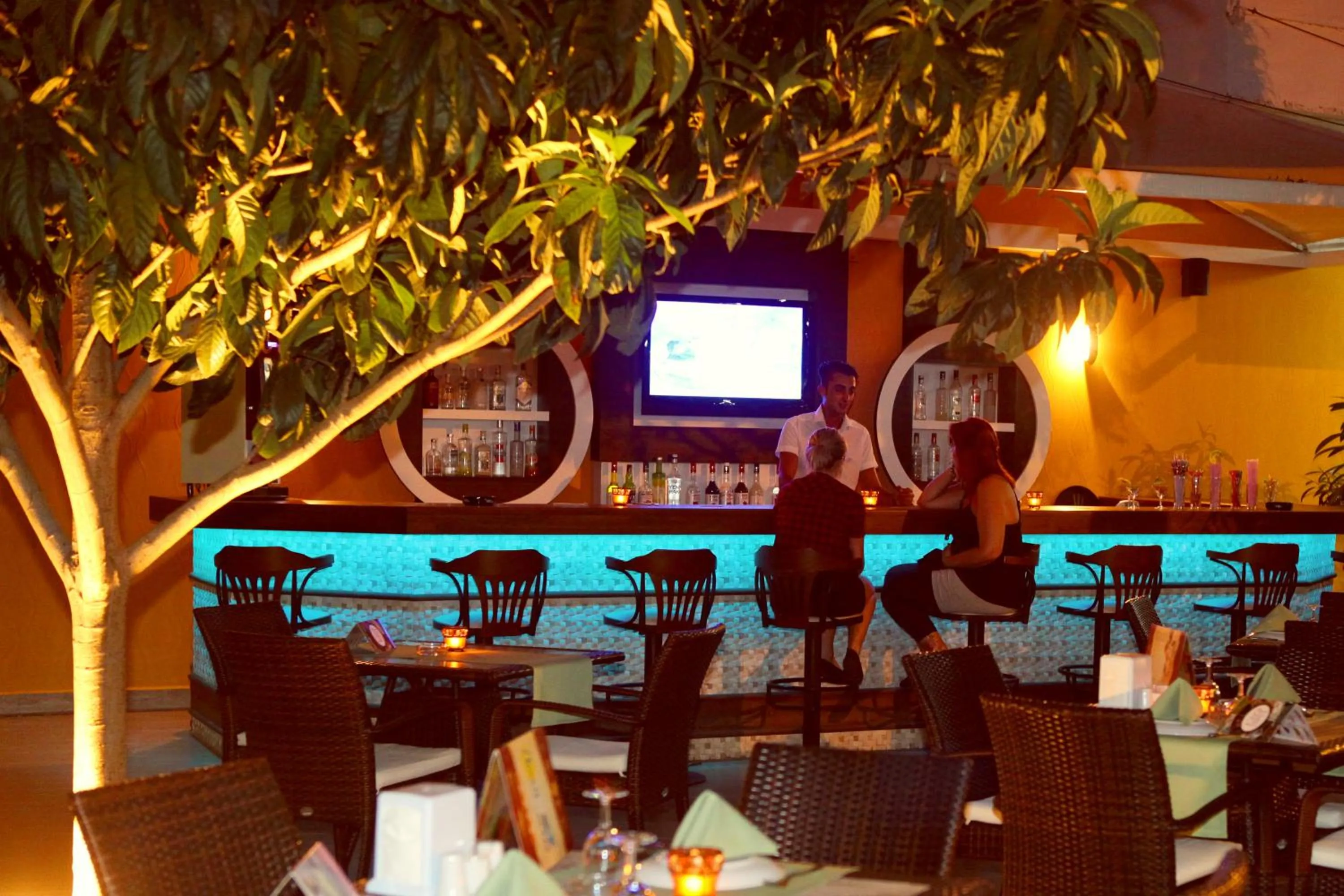 Lounge or bar in Narcis Apart Hotel