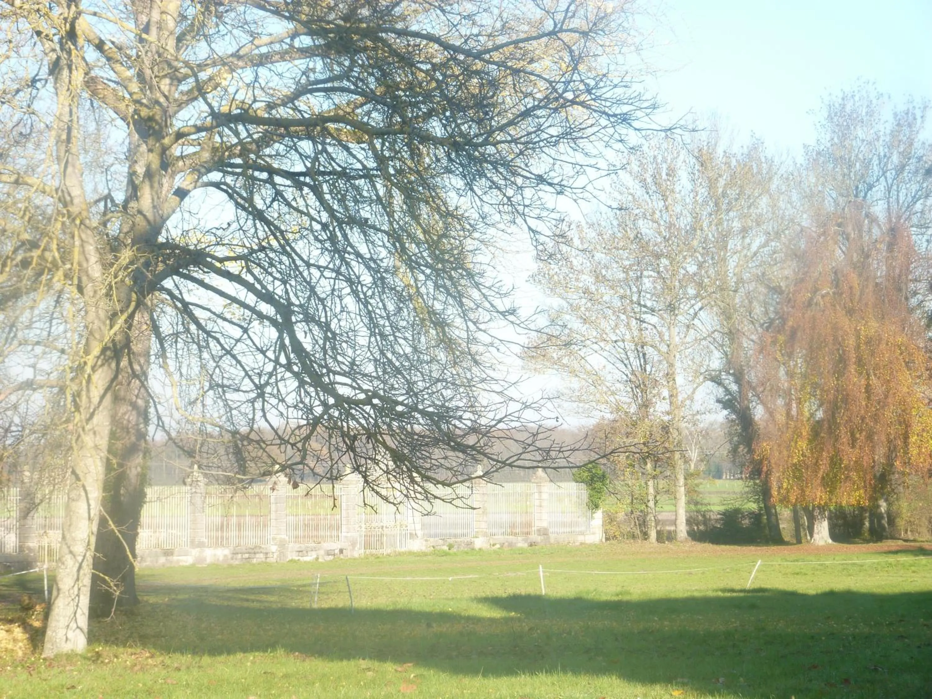 Garden view in Chateau de Bresse sur Grosne