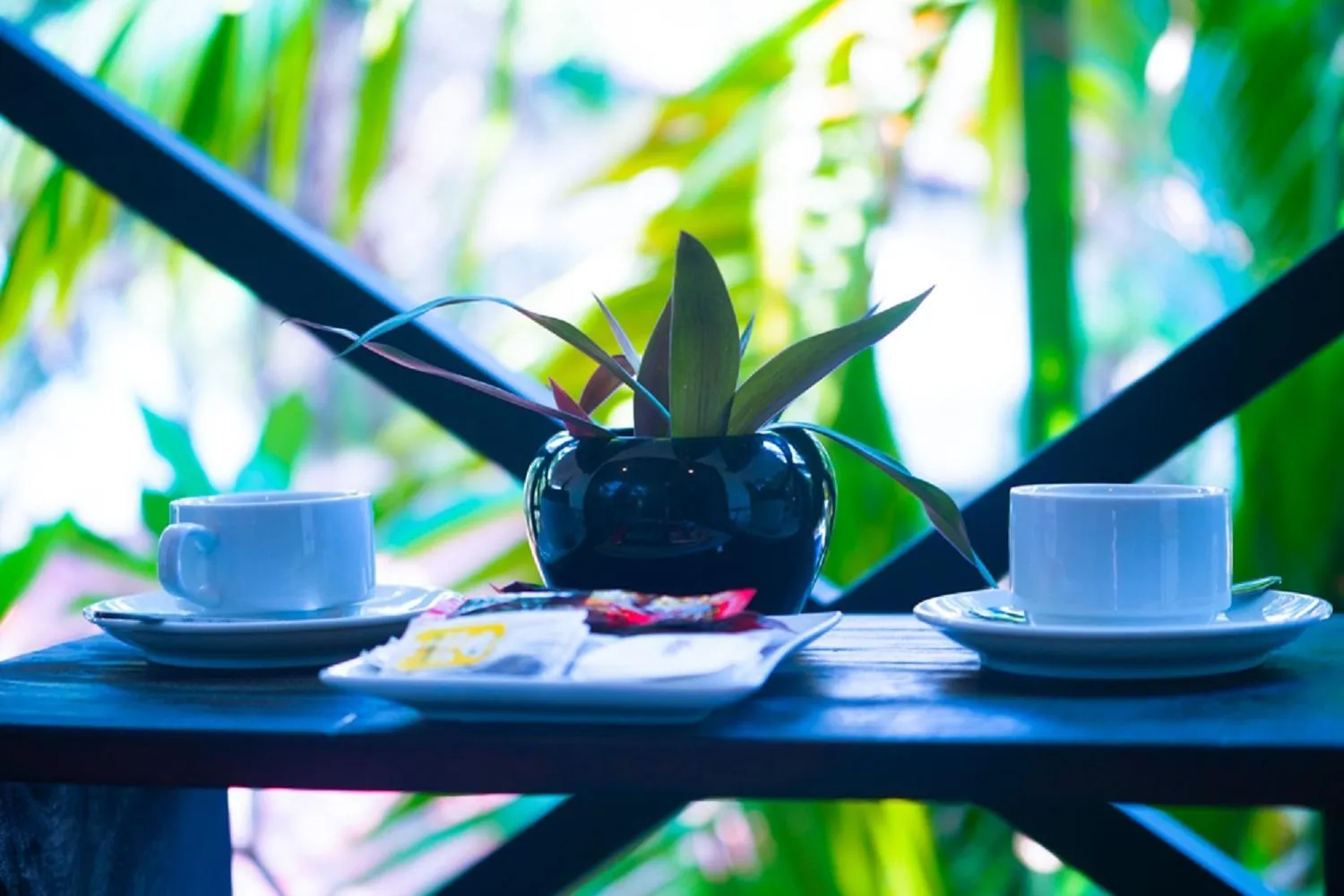 Coffee/tea facilities in The Cockatoo Nature Resort & Spa