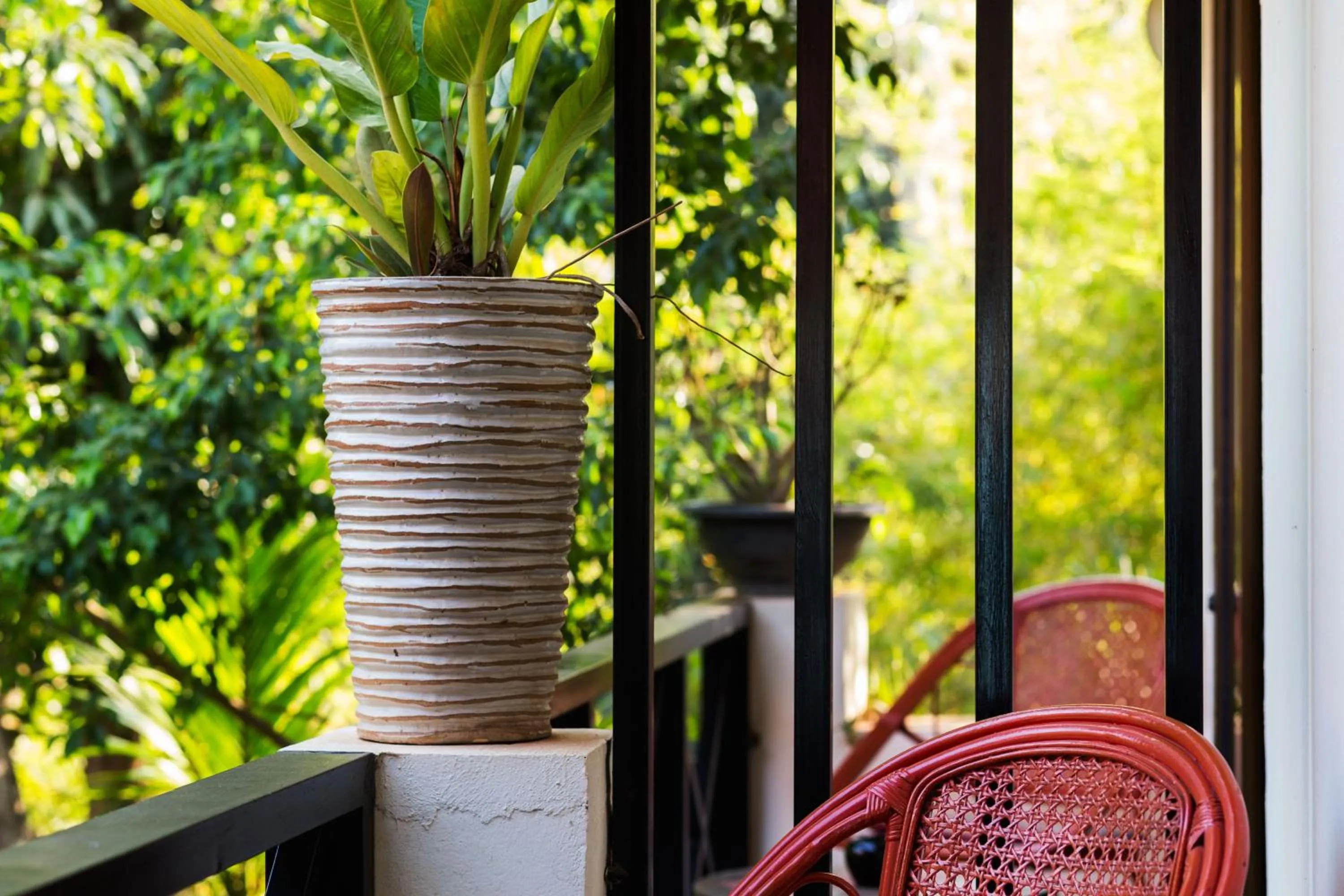 Balcony/Terrace in The Cockatoo Nature Resort & Spa