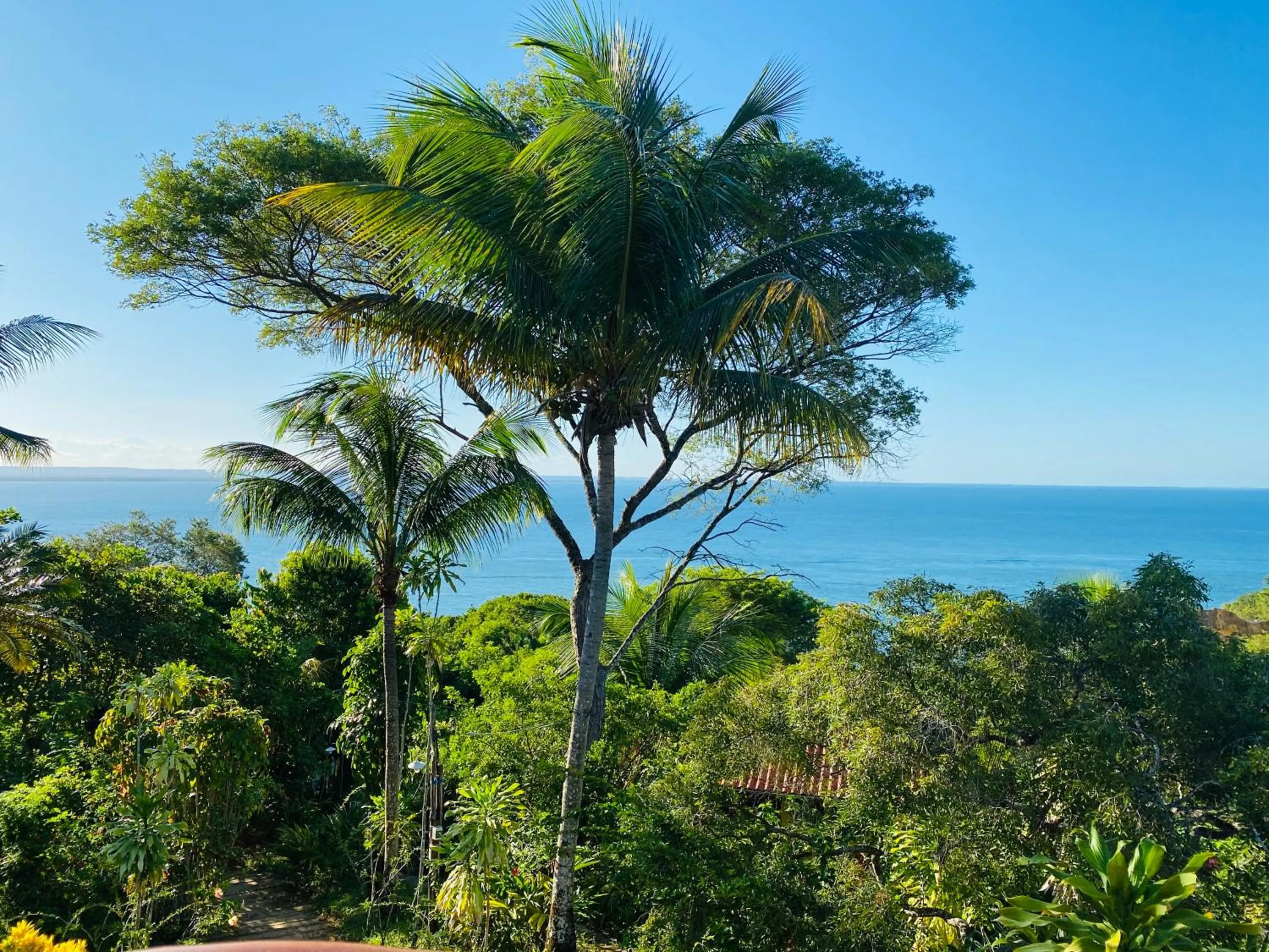 Natural landscape in Pousada Colibri