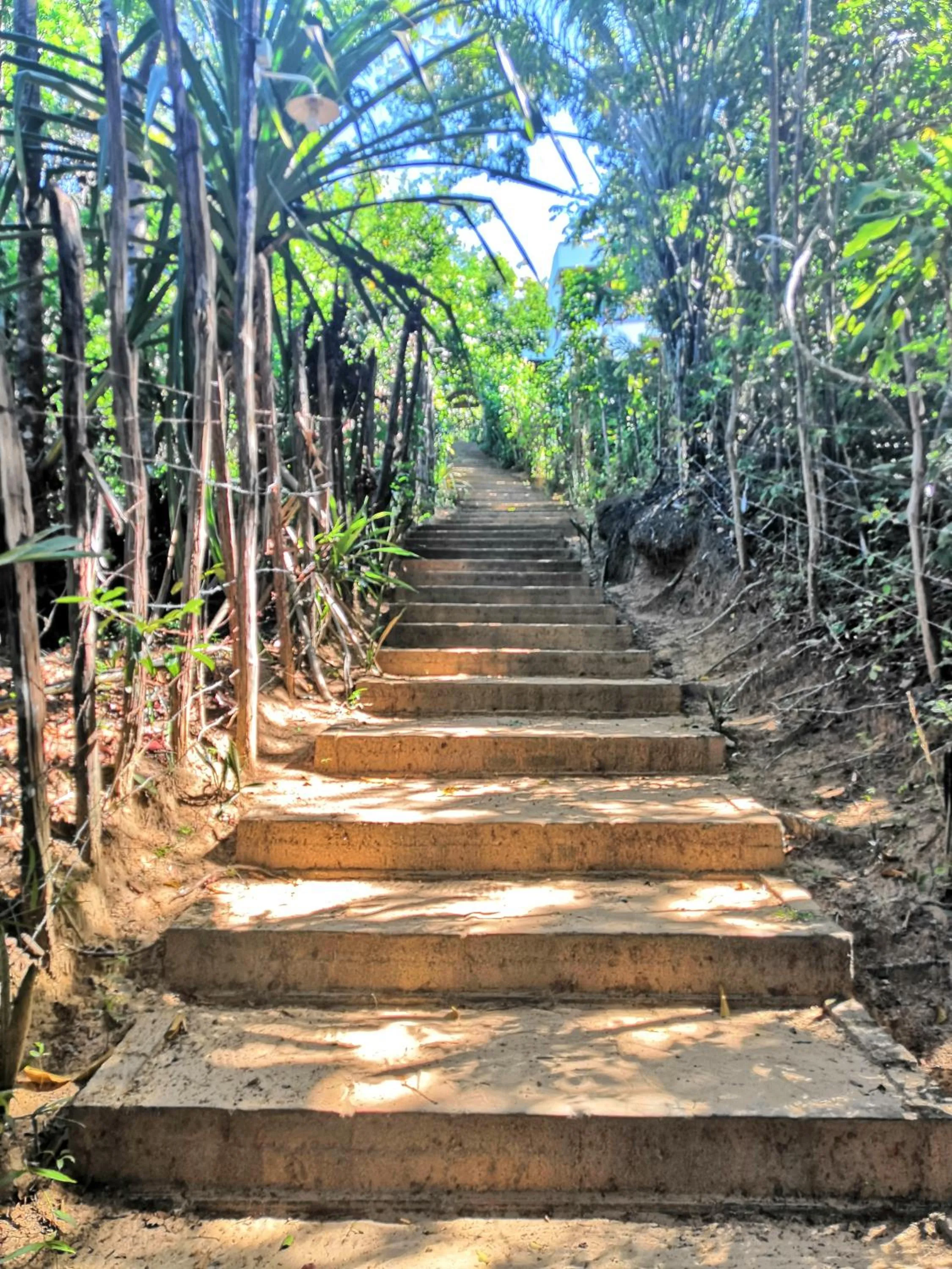 Facade/entrance in Pousada Colibri