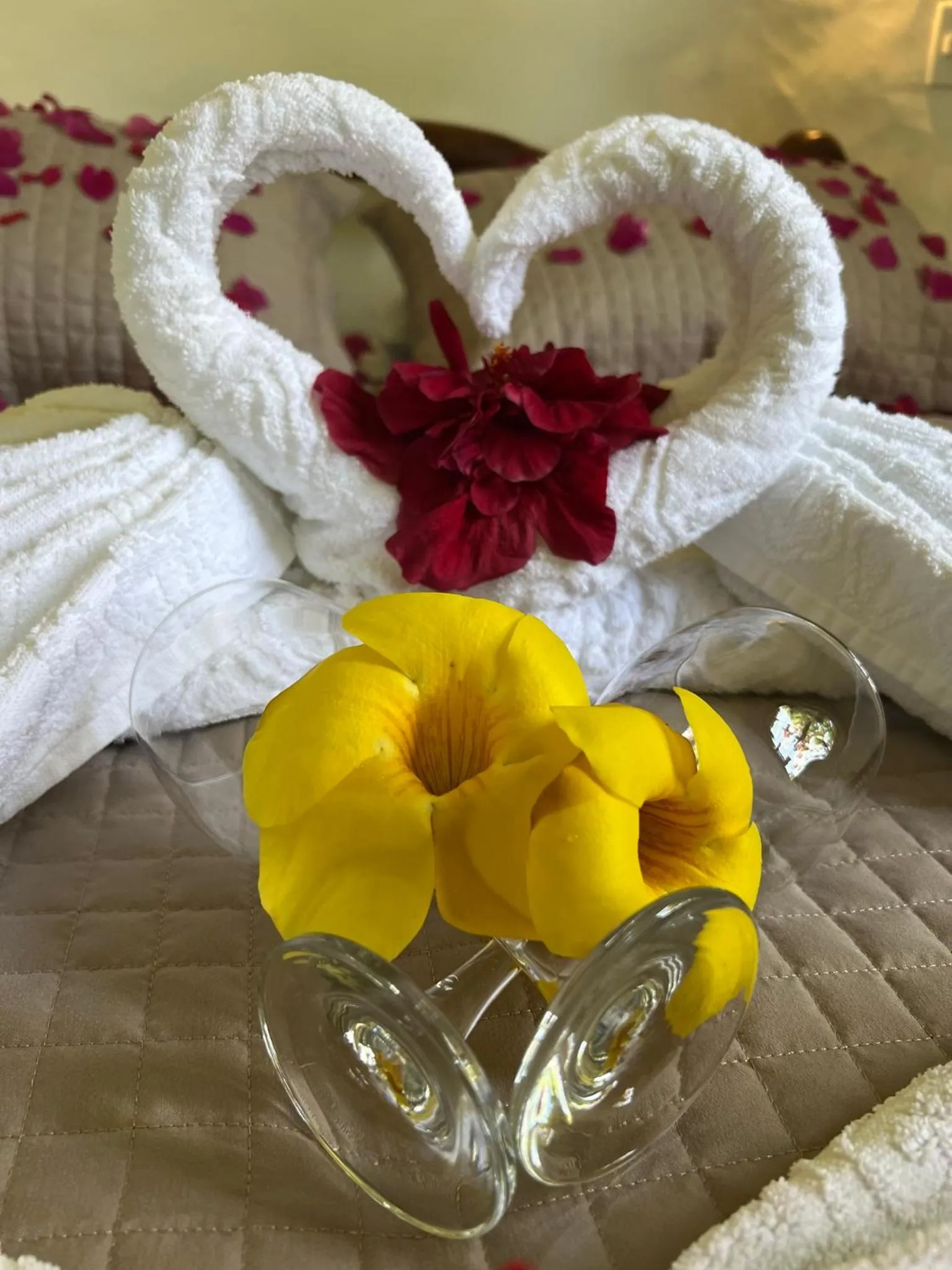 Decorative detail, Bed in Pousada Colibri