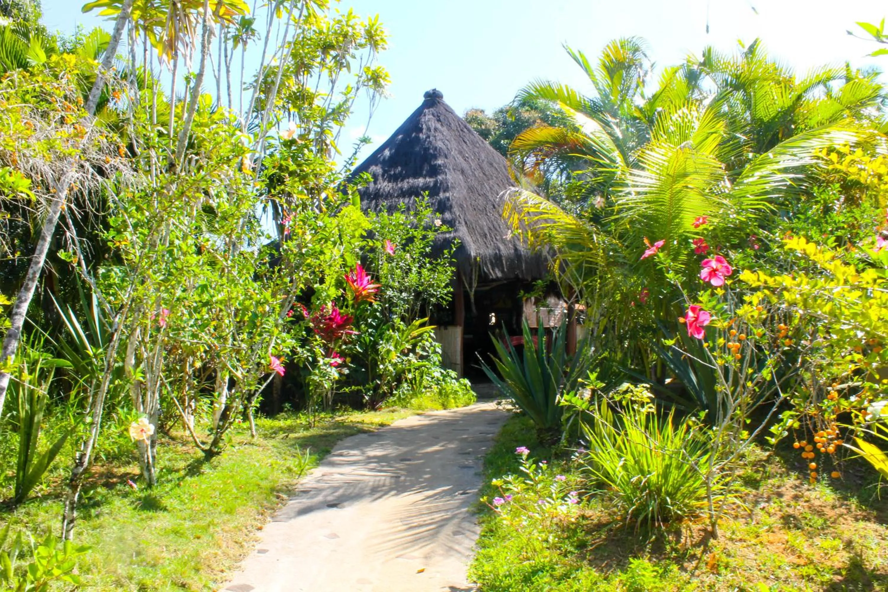 Restaurant/places to eat in Pousada Colibri