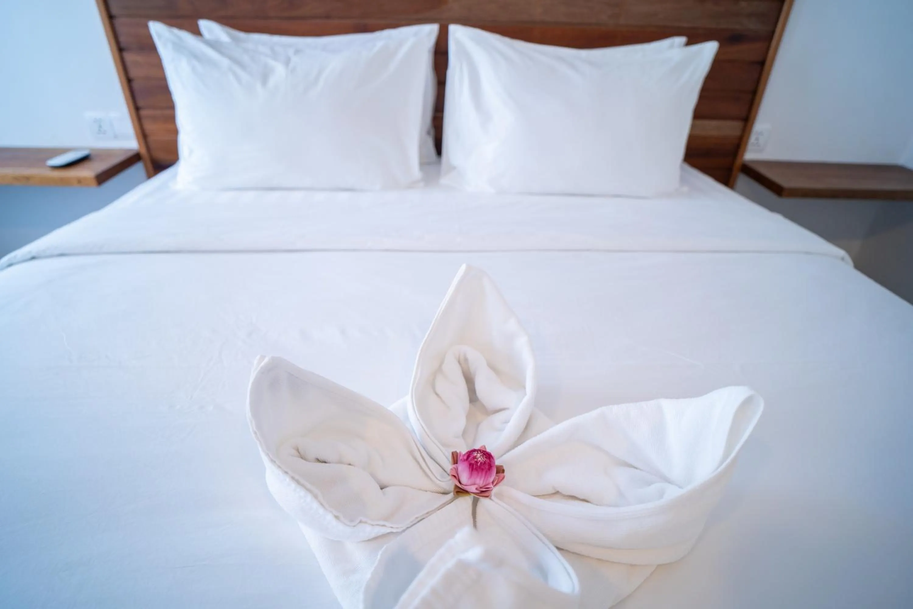 Bed in Apartment Green Amazon