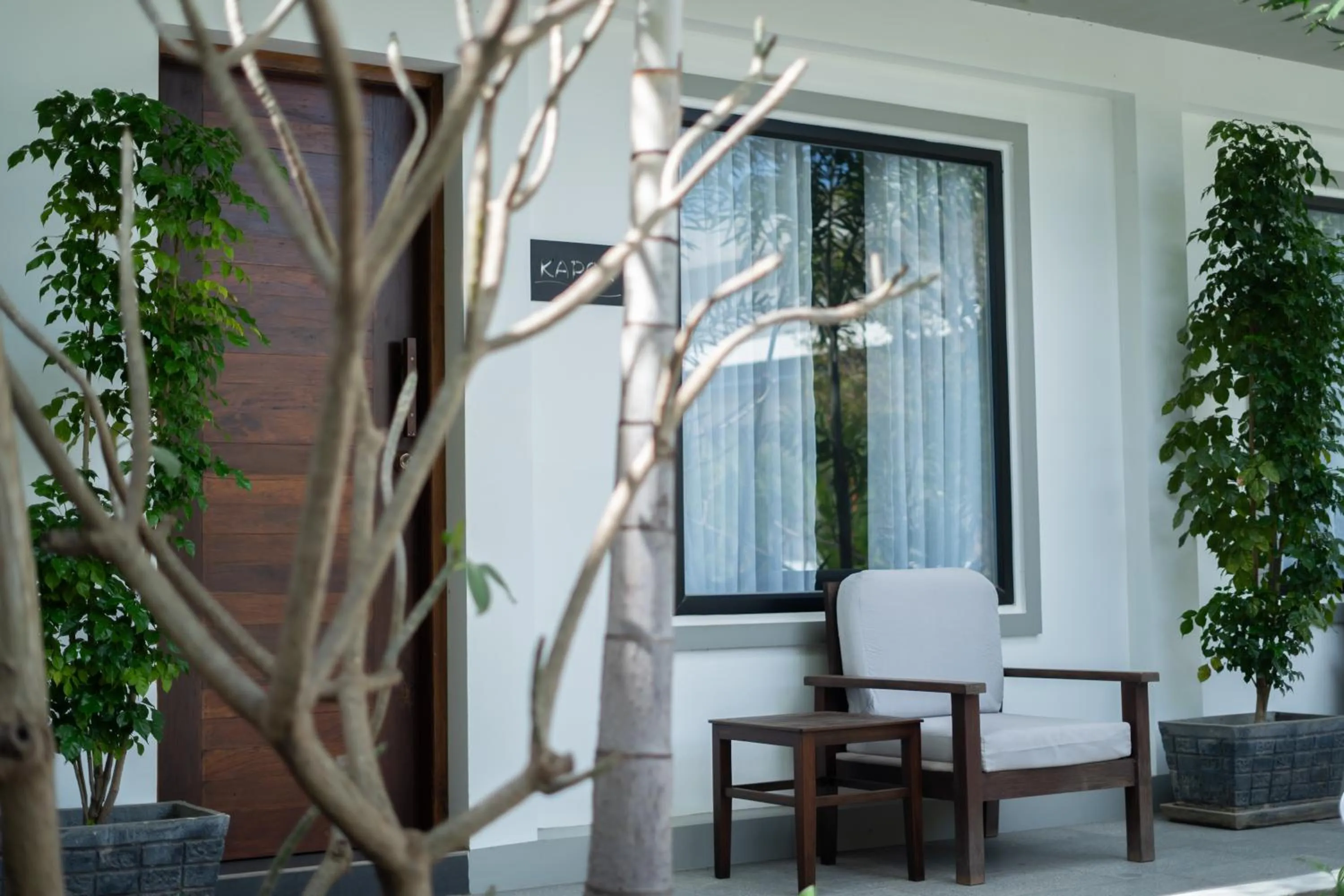 Garden in Apartment Green Amazon