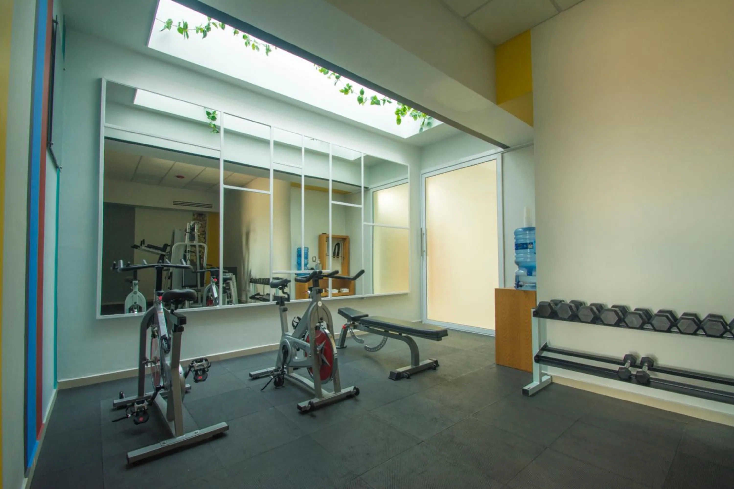 Fitness centre/facilities in Concept Hotel - Centro Zamora