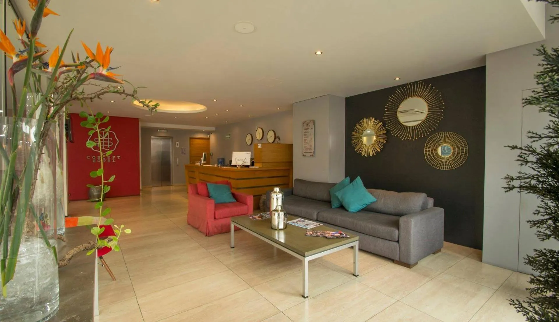 Concept Hotel - Centro Zamora