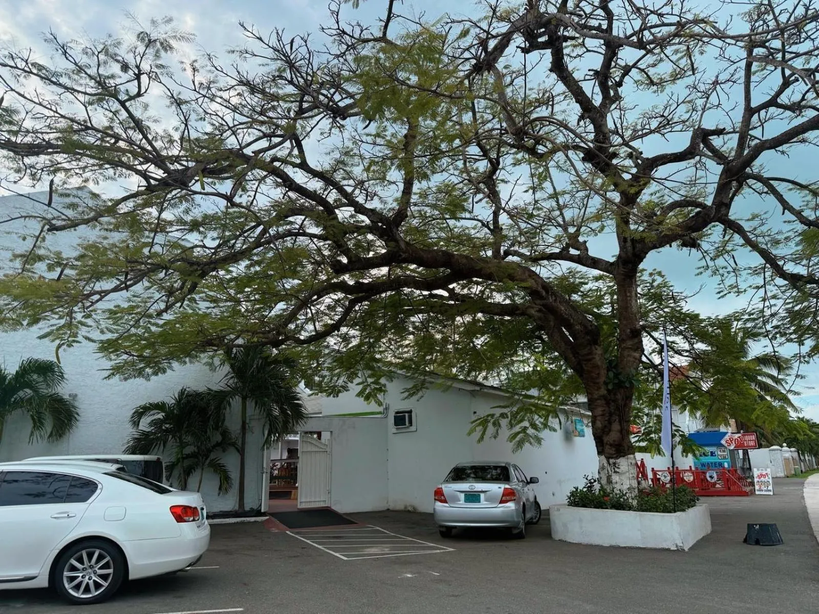 The Island Garden Hotel