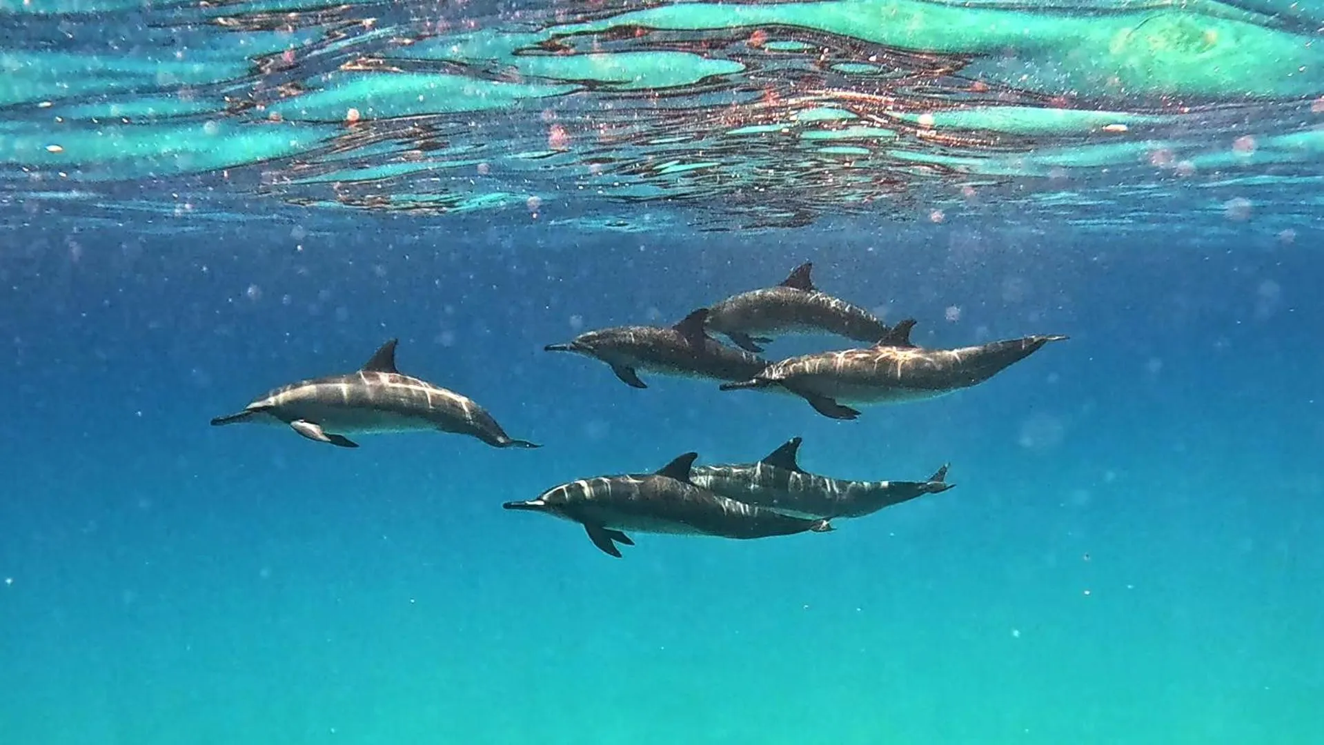 Activities in Arrival Beach and Spa