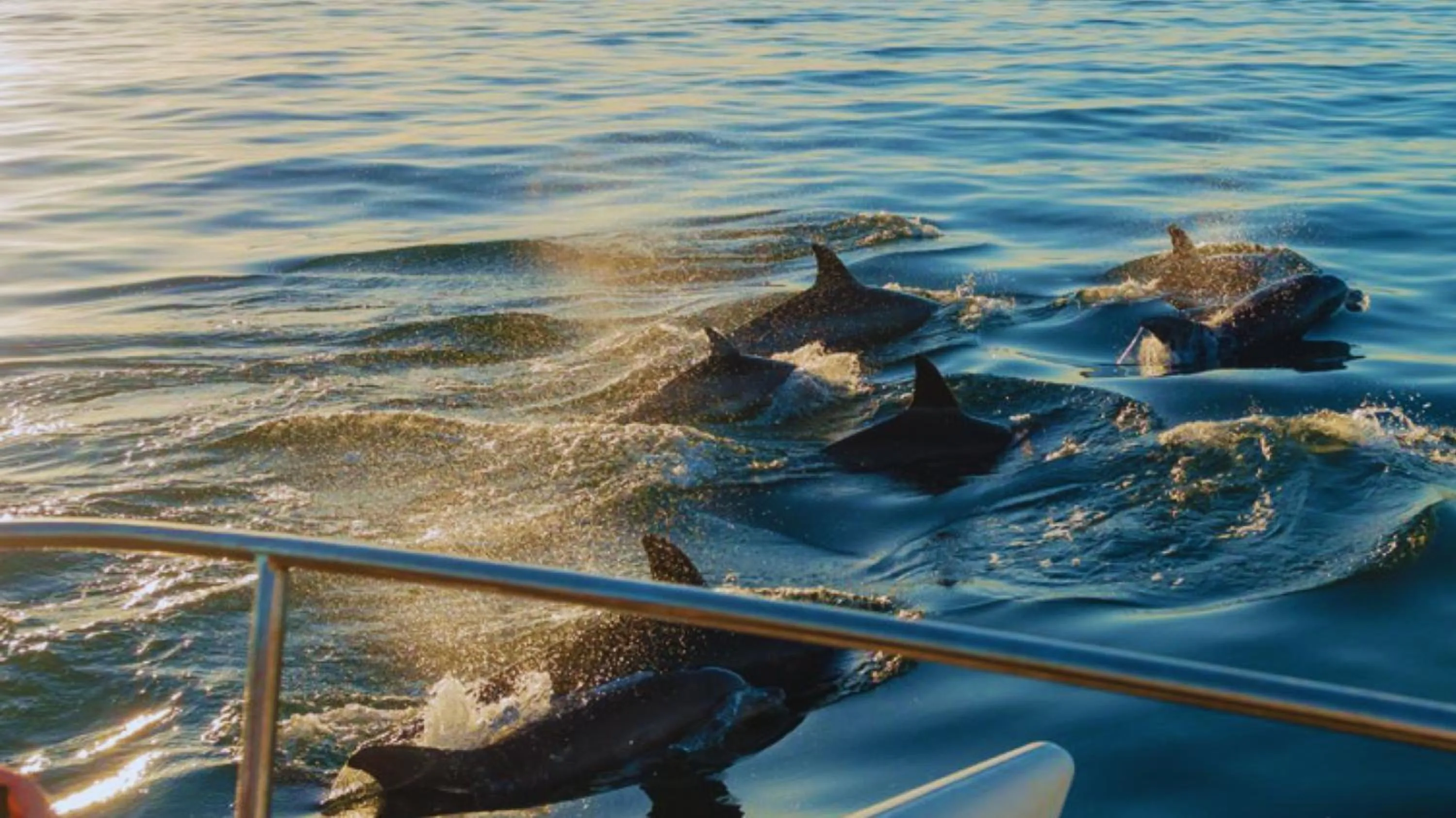 Natural landscape in Arrival Beach and Spa