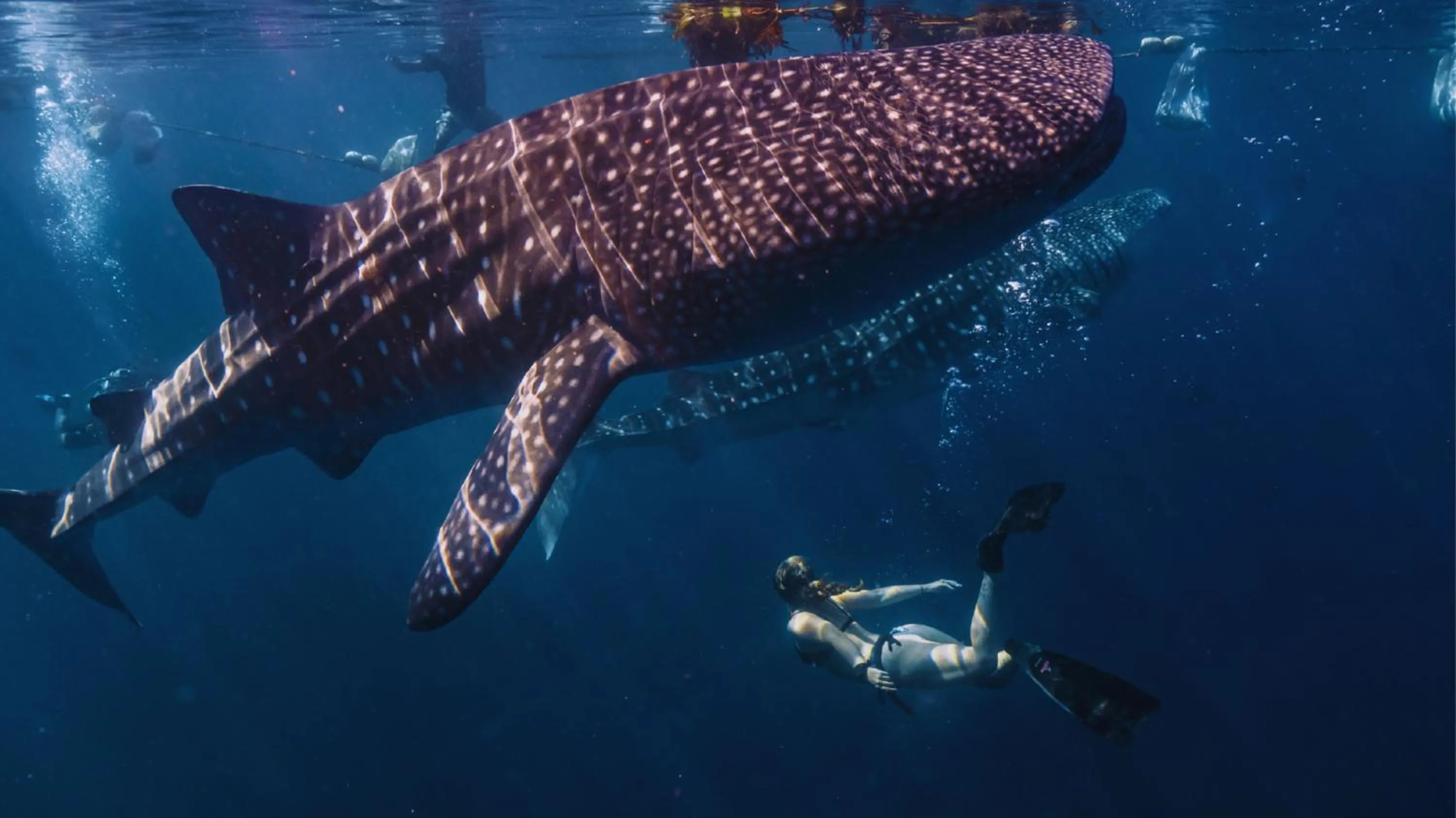 Natural landscape in Arrival Beach and Spa