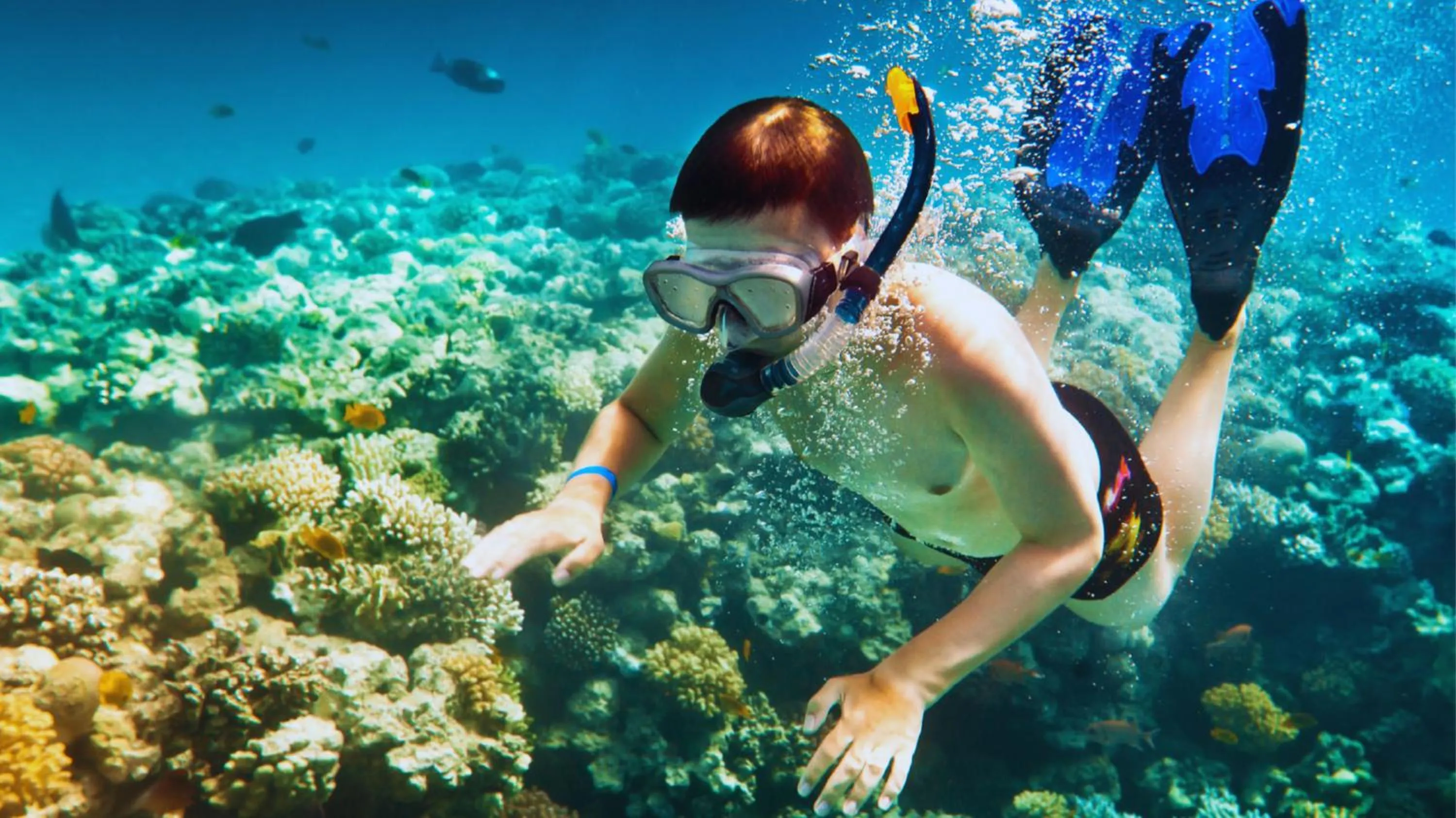 Snorkeling in Arrival Beach and Spa