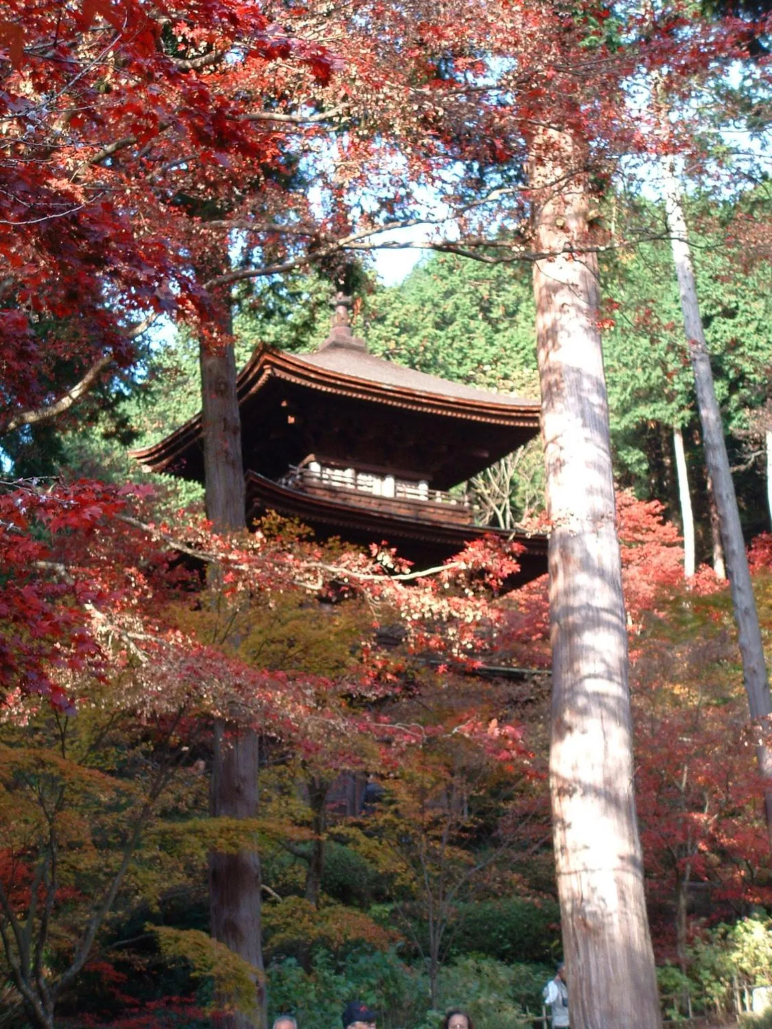 Property building in Dantokan Kikunoya