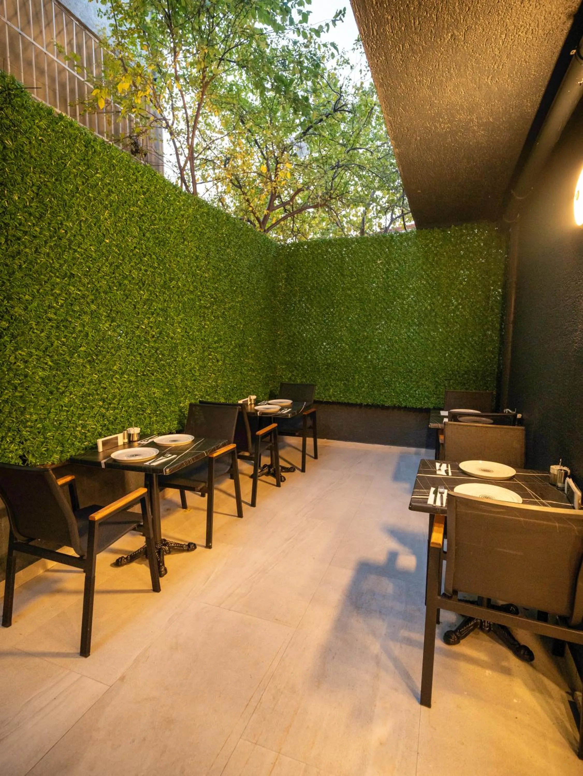 Garden in Modernlux Hotel