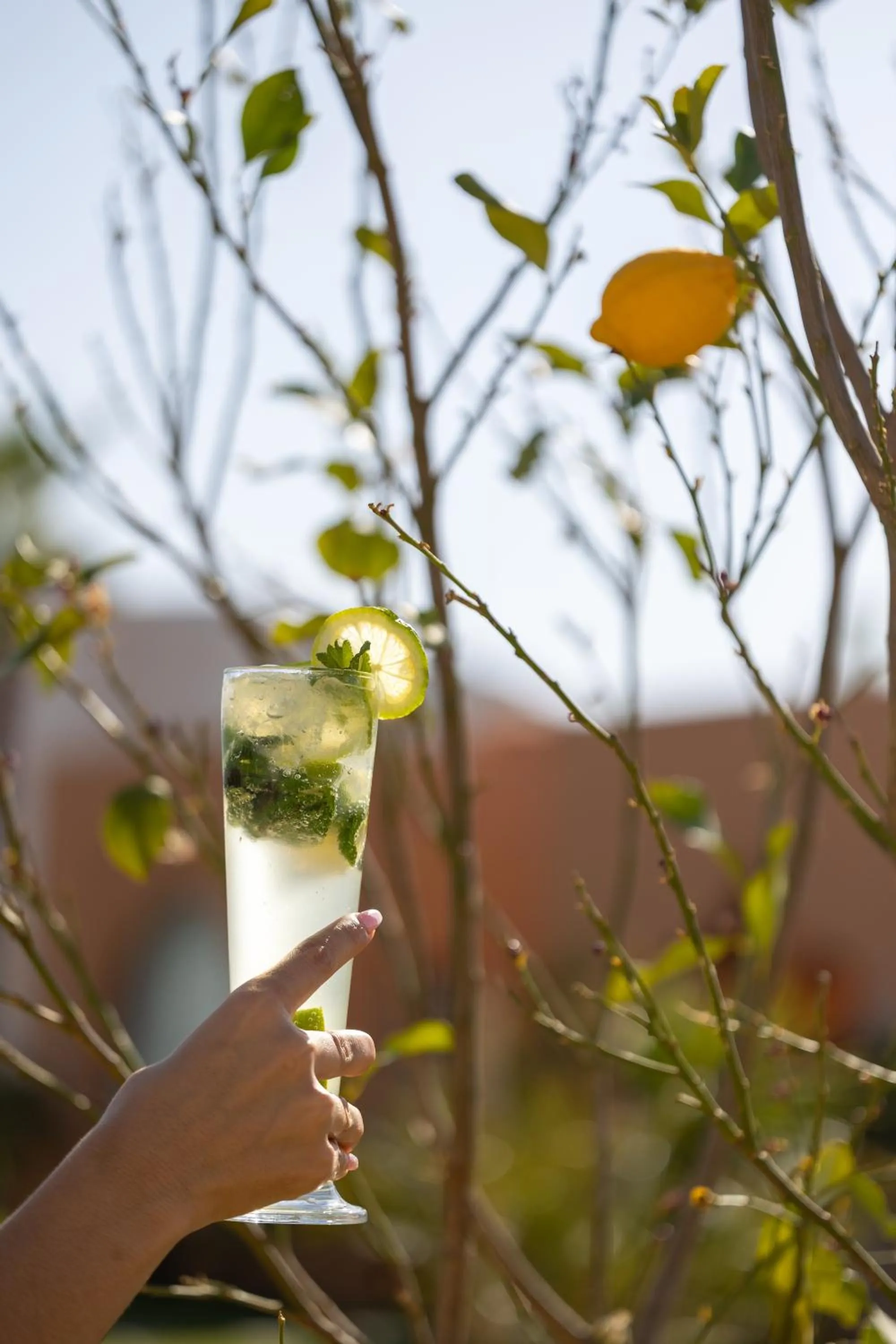 Spring in Yin Hotel & Spa