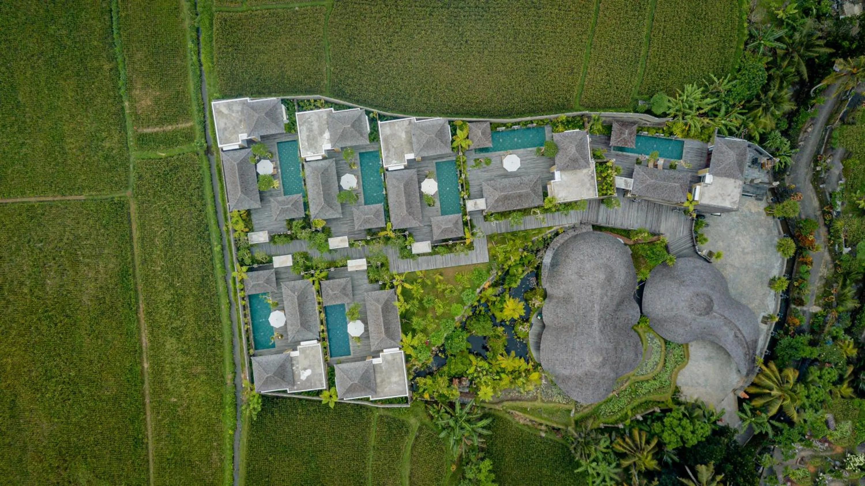 Natural landscape in E Sanctuary Resort Ubud