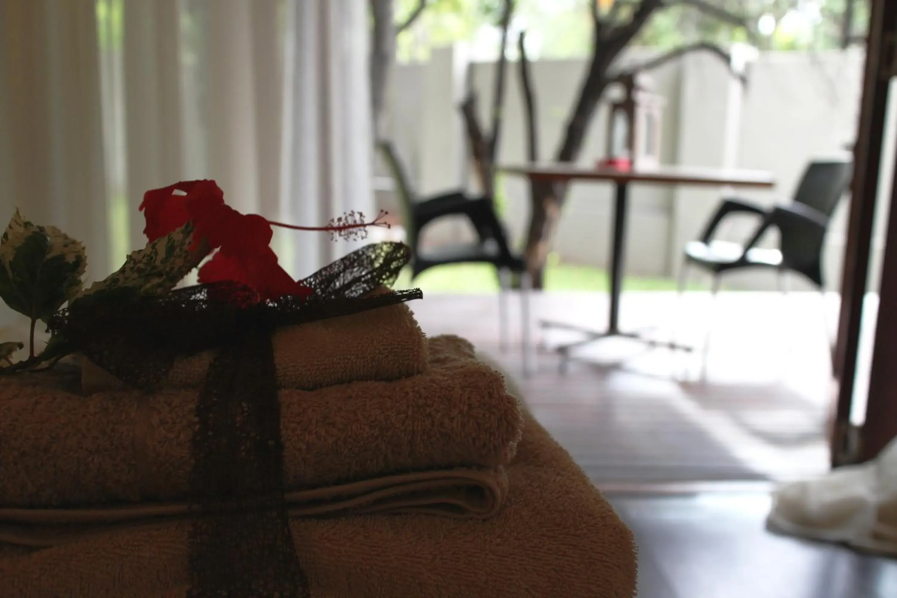 One-Bedroom Suite with Patio and Garden View in Cu Guest House One-Bedroom Suite with Patio and Garden View in Cu Guest House