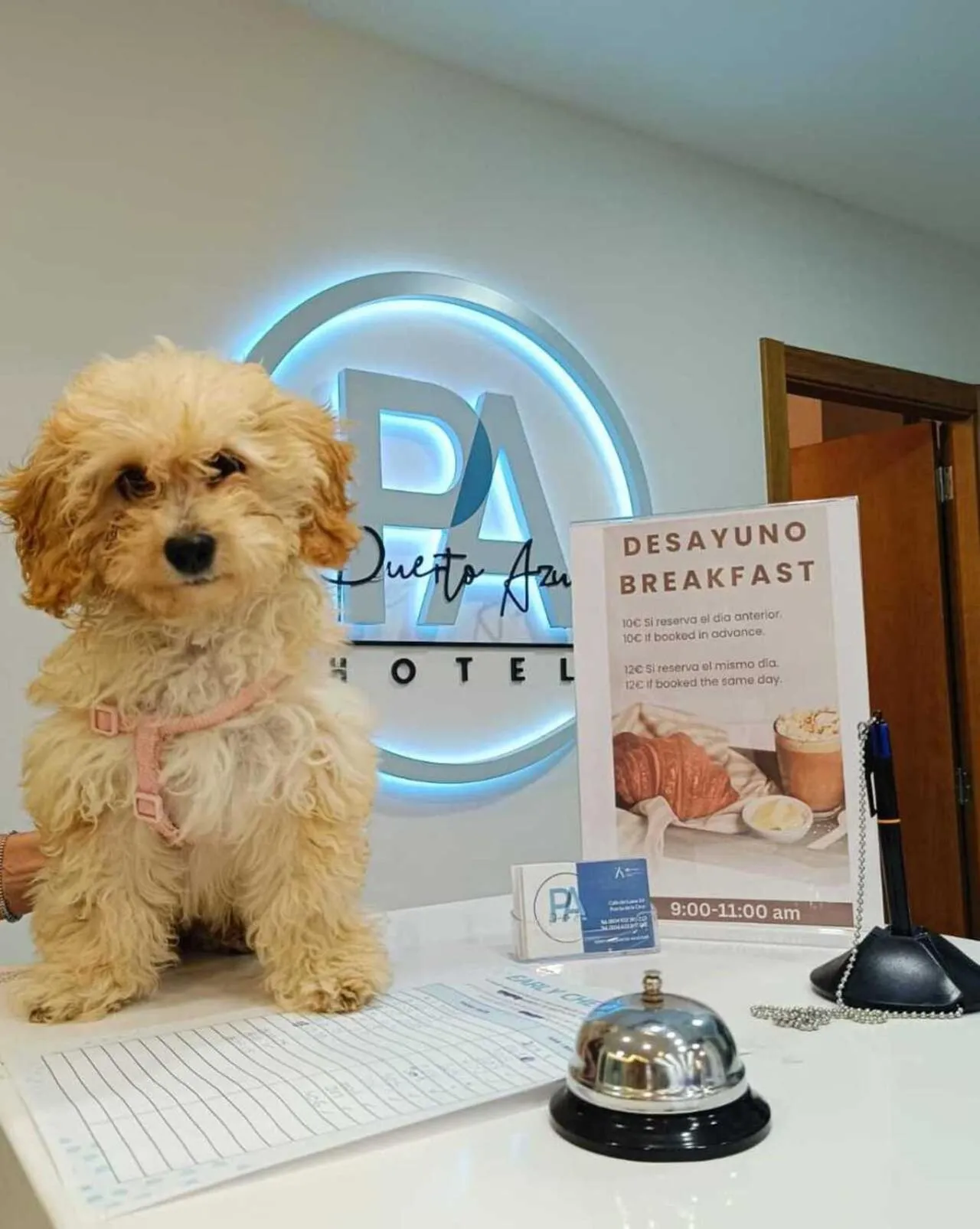 Staff in Puerto Azul