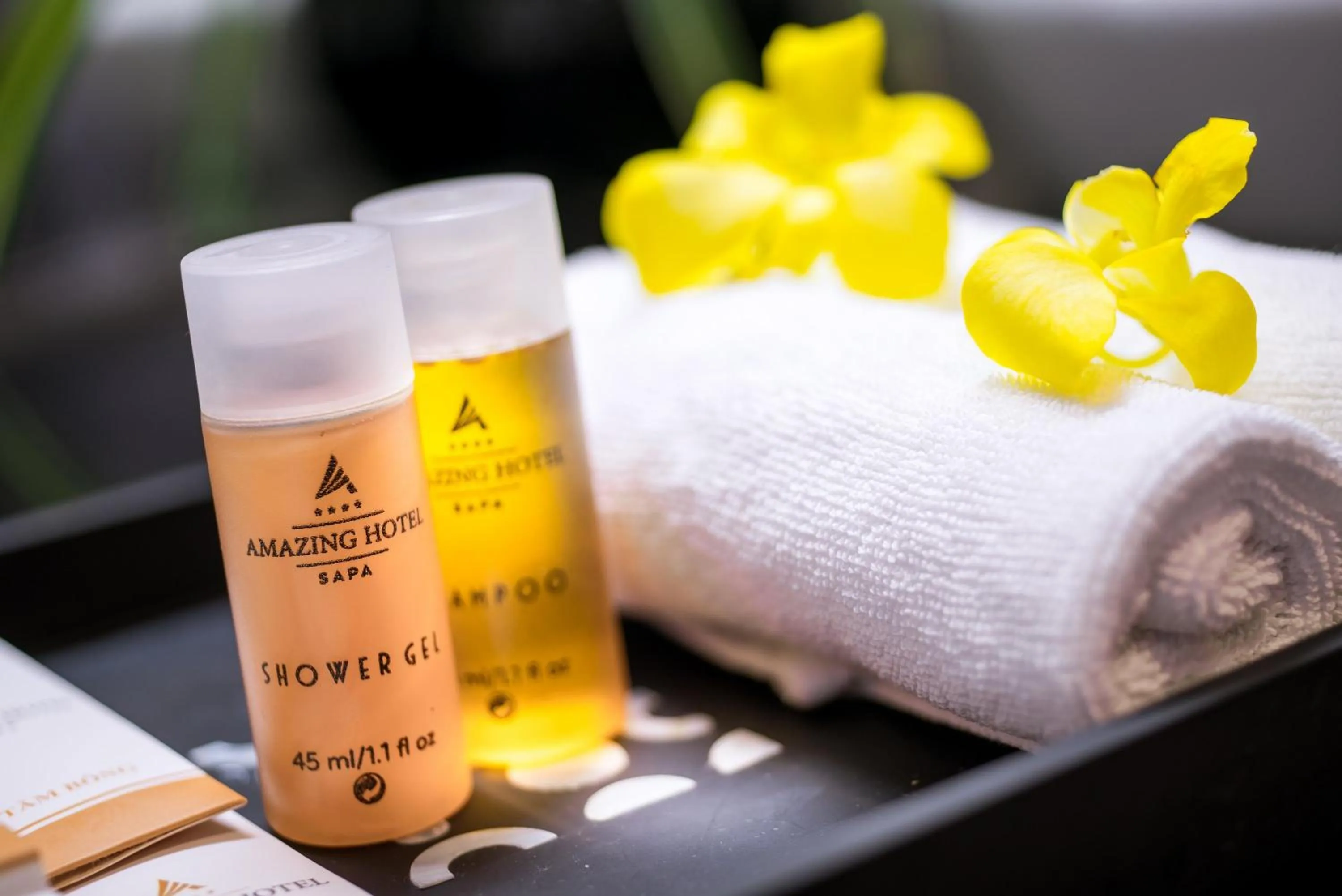 Bathroom in Amazing Hotel Sapa