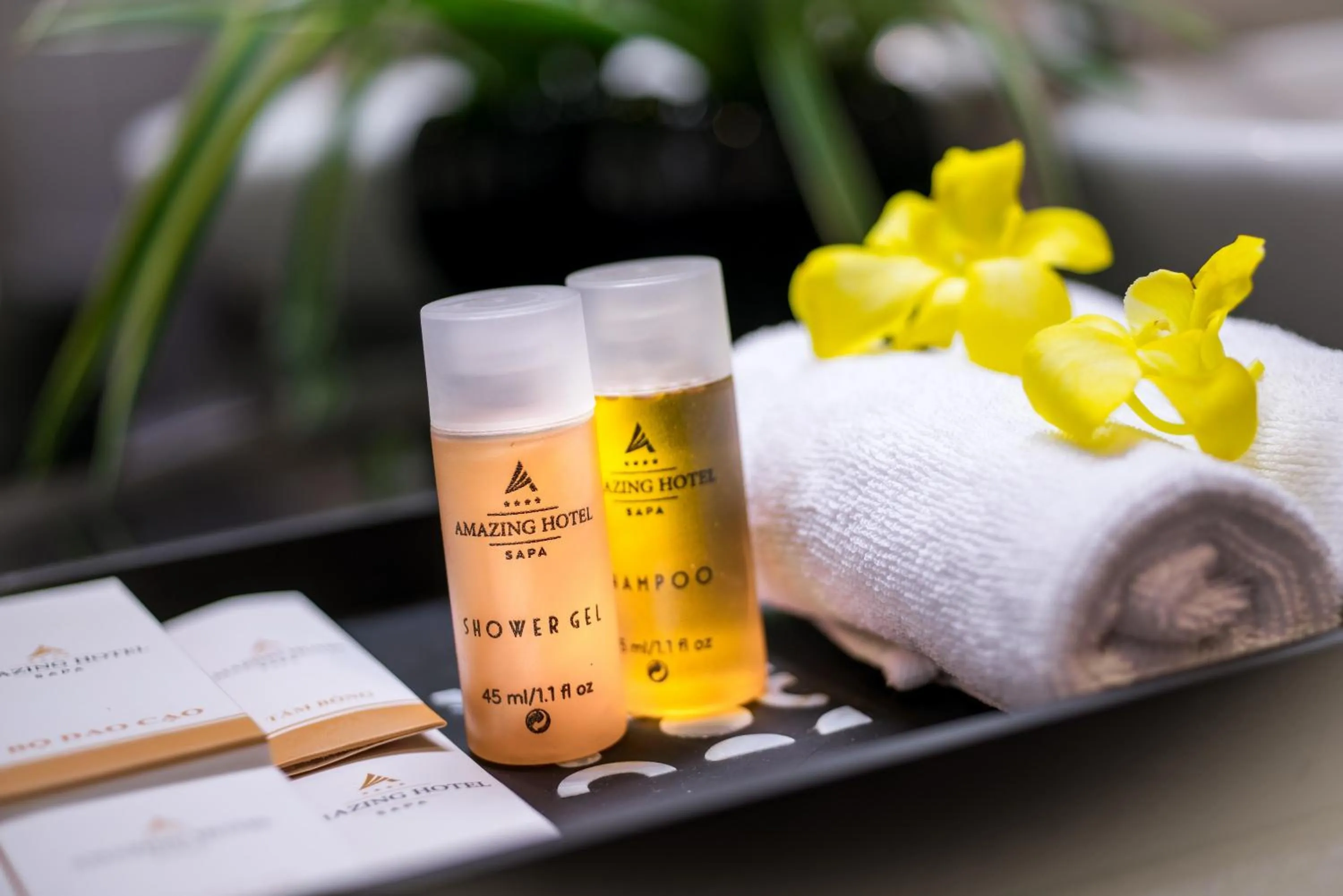 Bathroom in Amazing Hotel Sapa