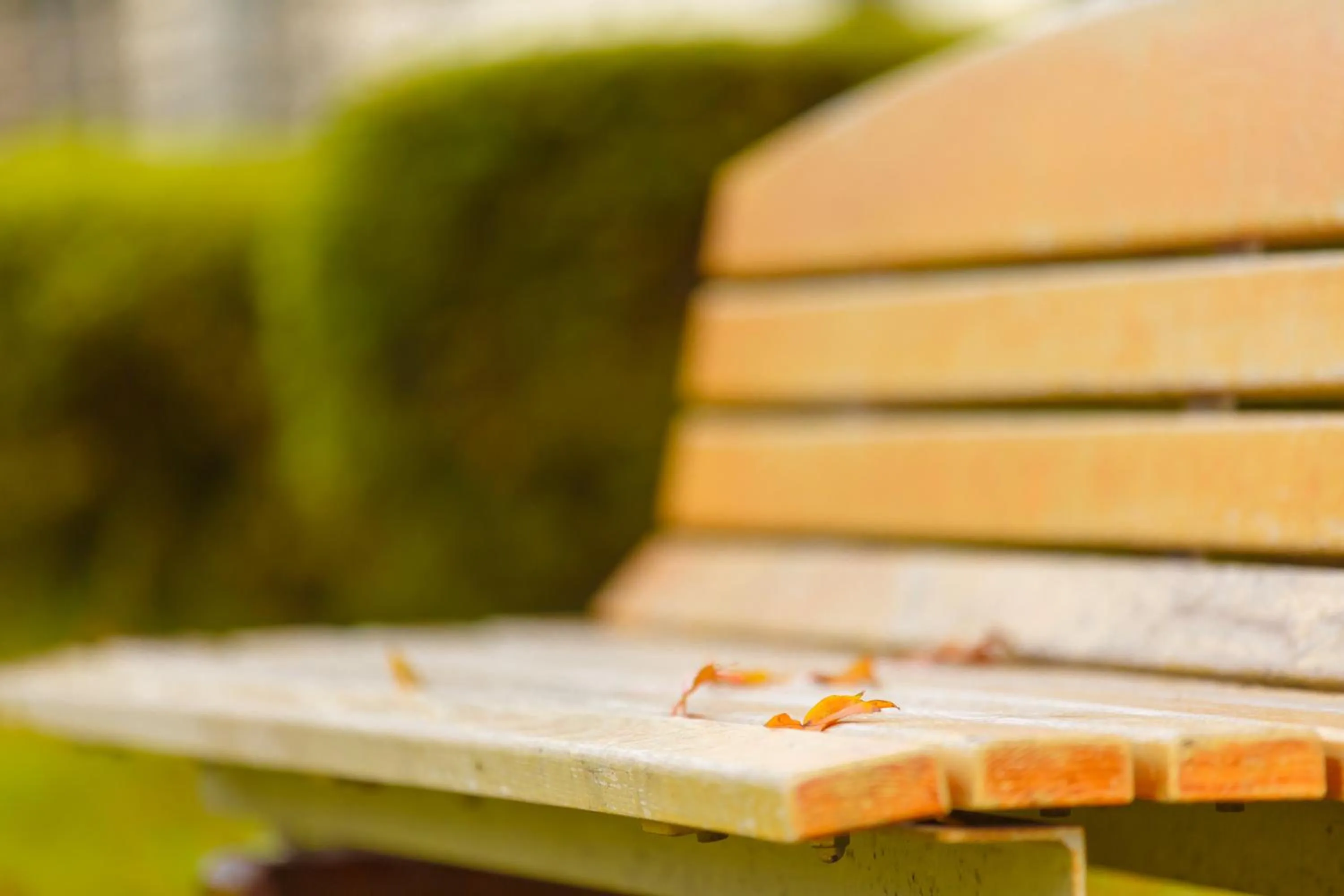 Garden in Hakone Lake Hotel