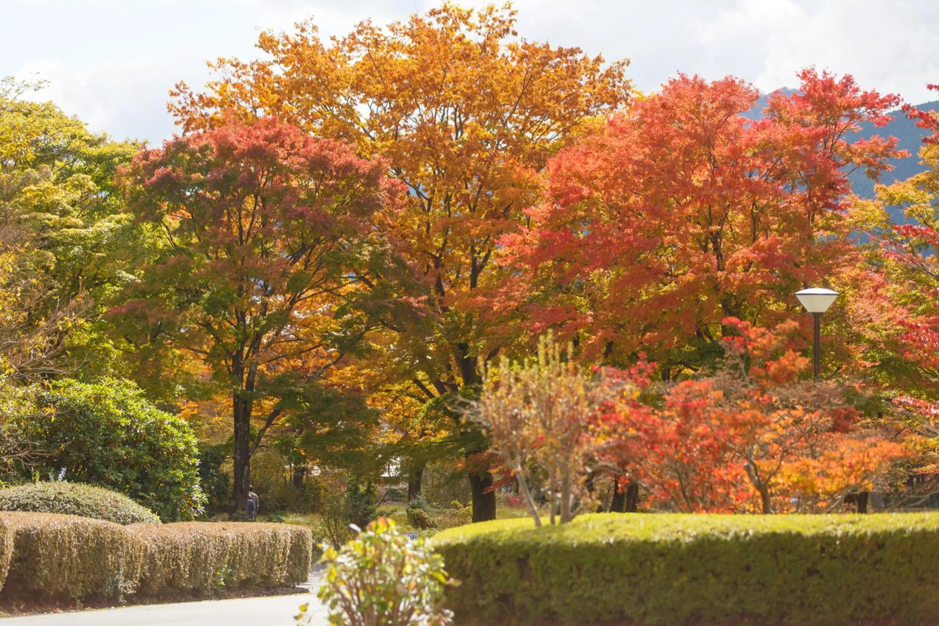 Autumn, Garden in Hakone Lake Hotel