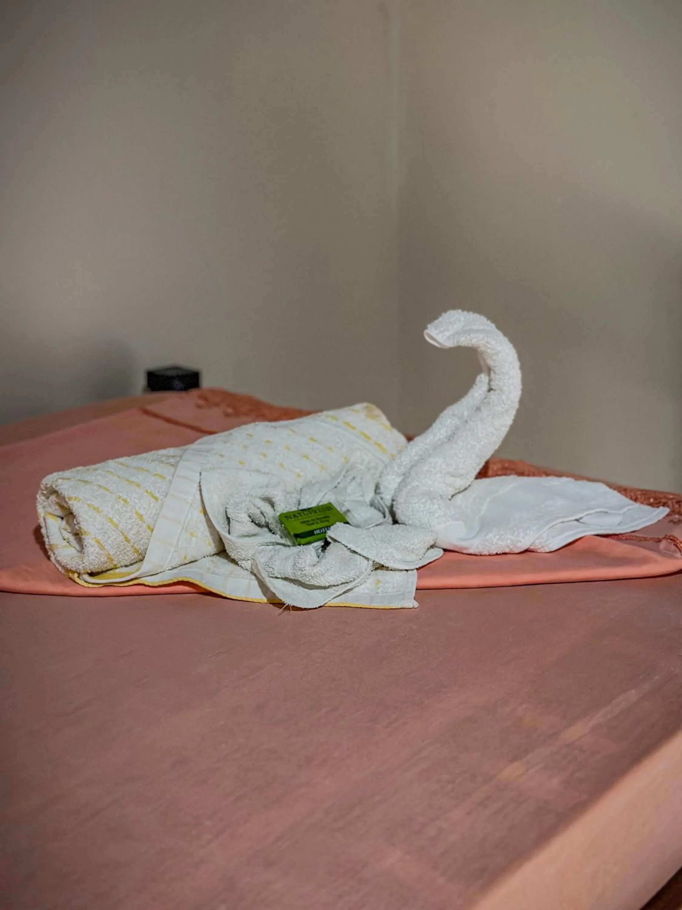 towels in Ventanas en Corcovado