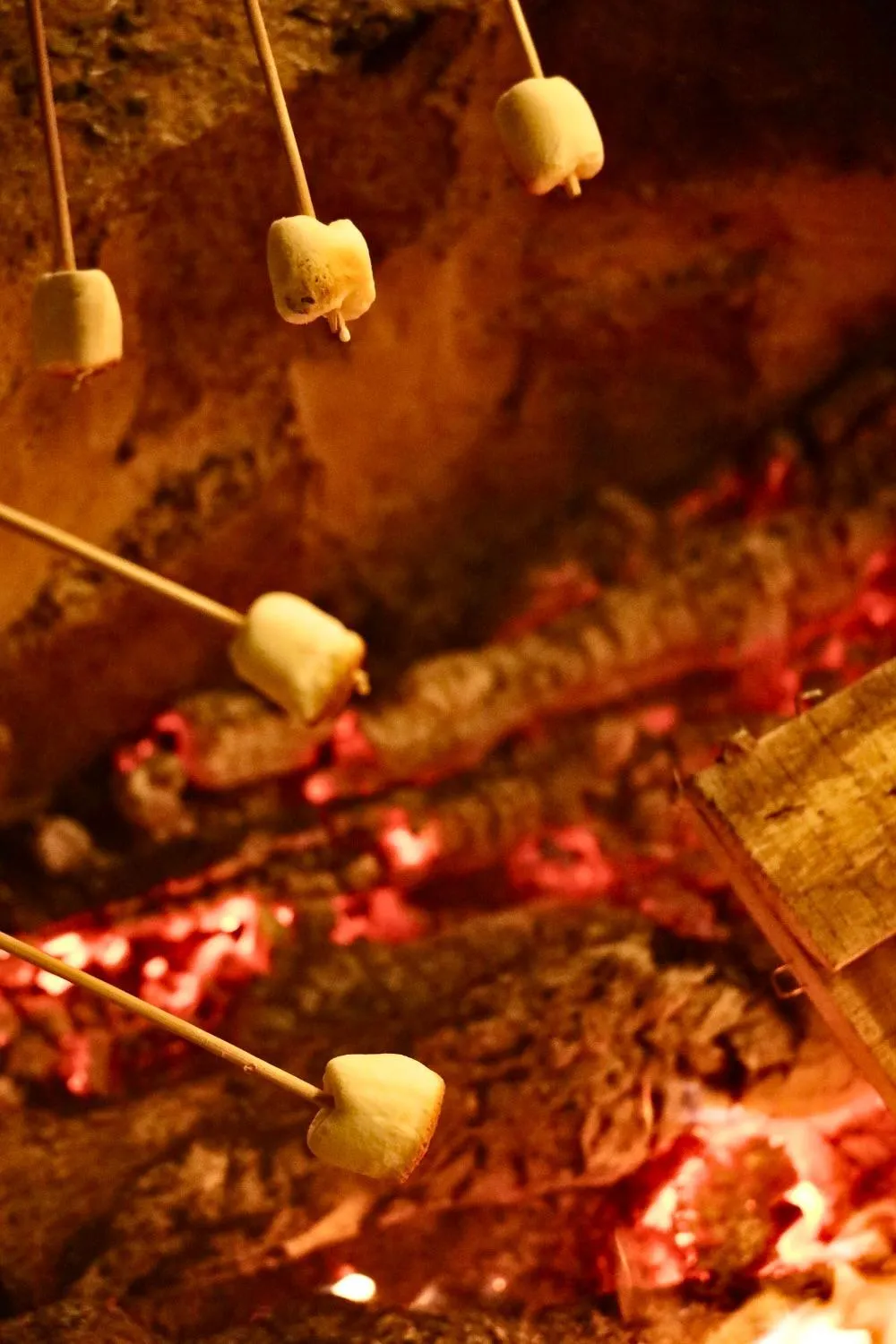 Food close-up in Dalat Train Village